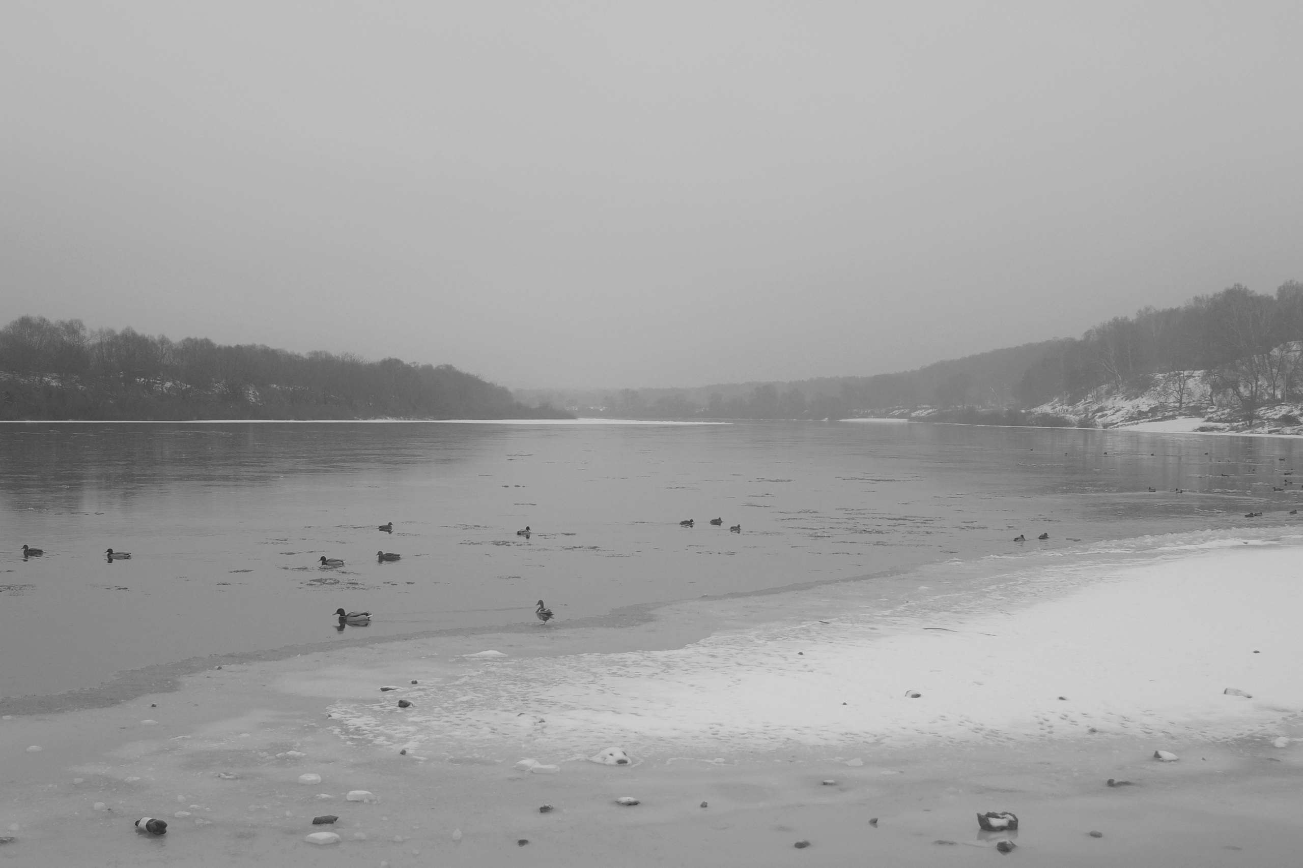 — 2025. Фотограф Злата Спицына