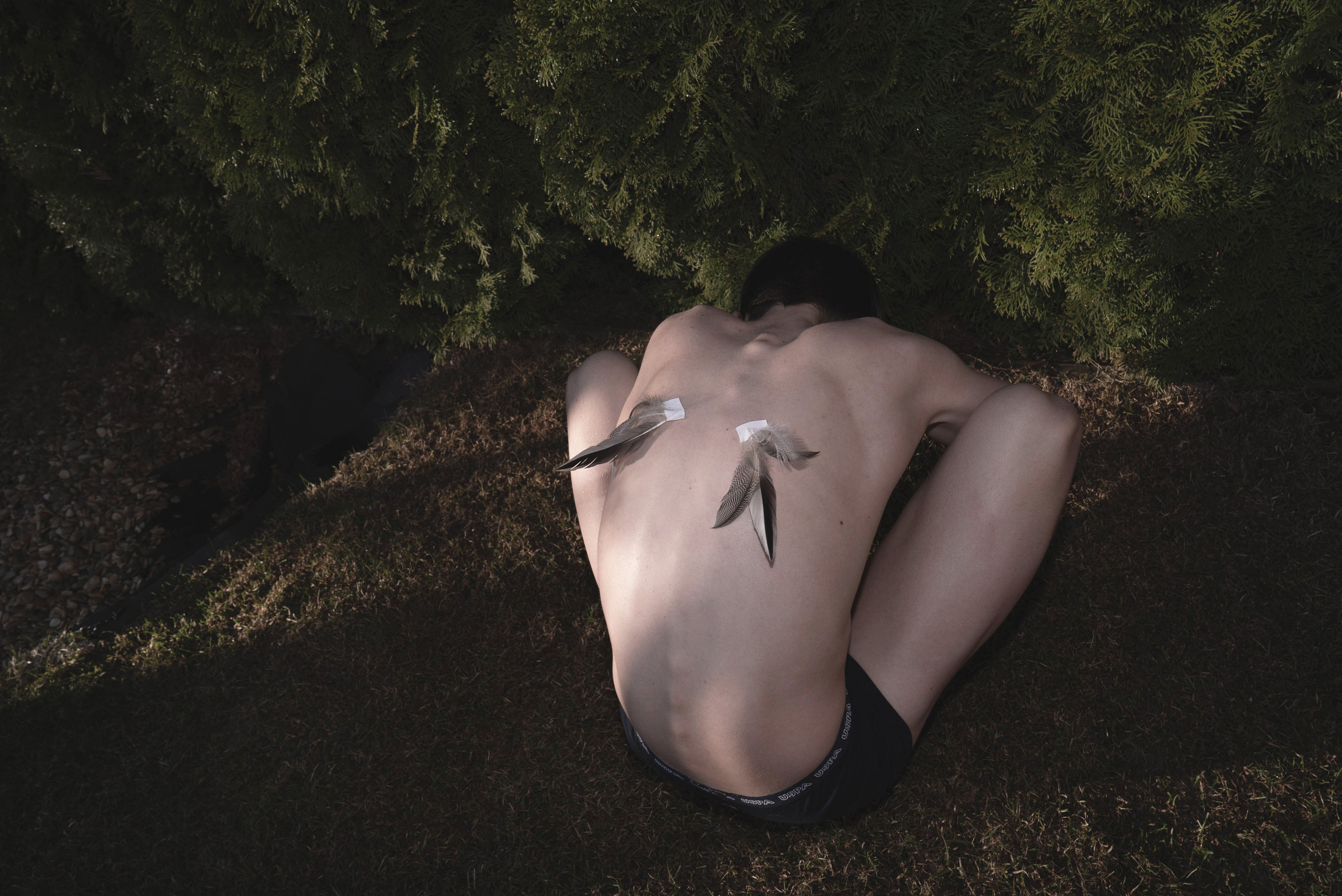 Мир тропы. Tatiana Mishchenko