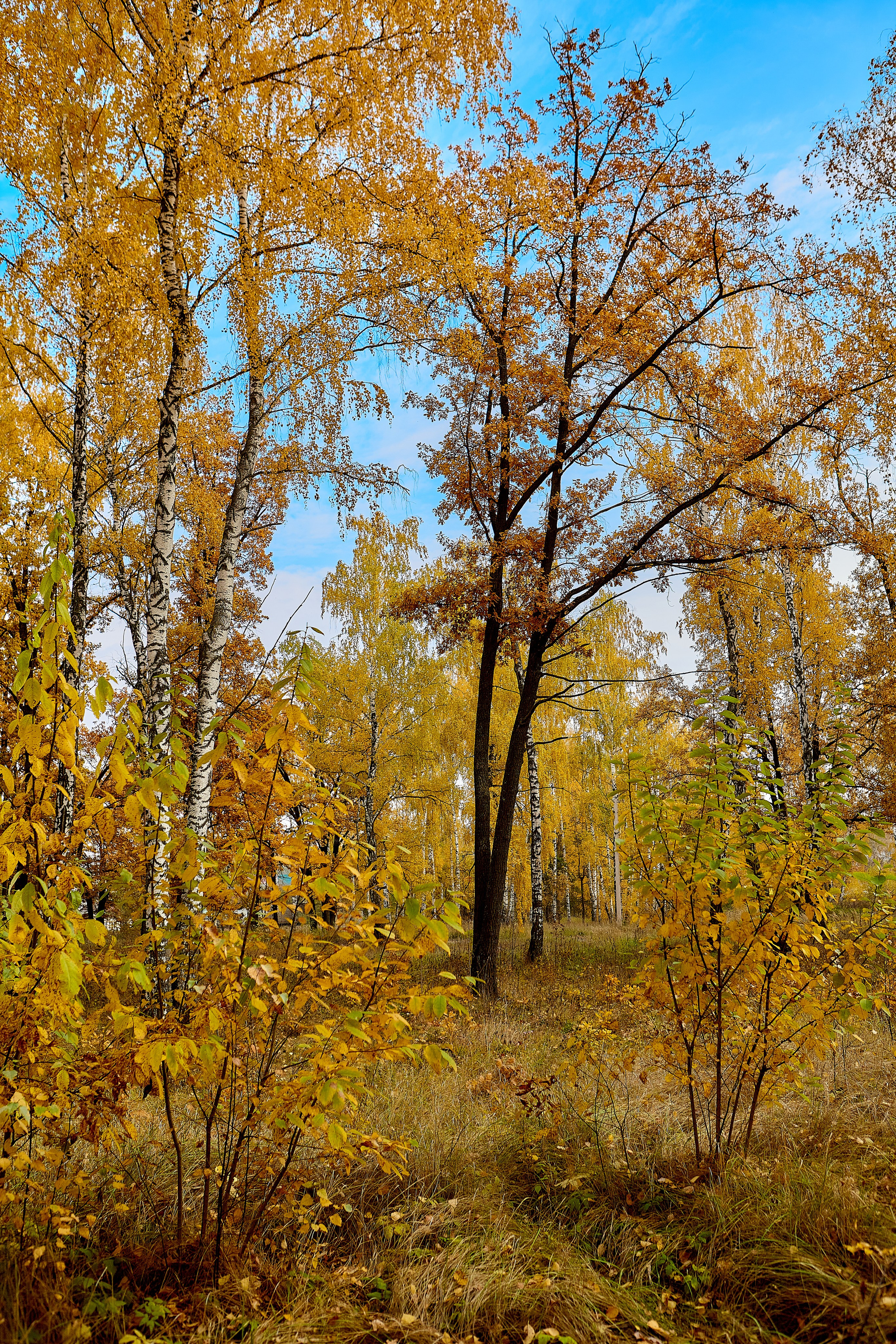 Фотографии природы