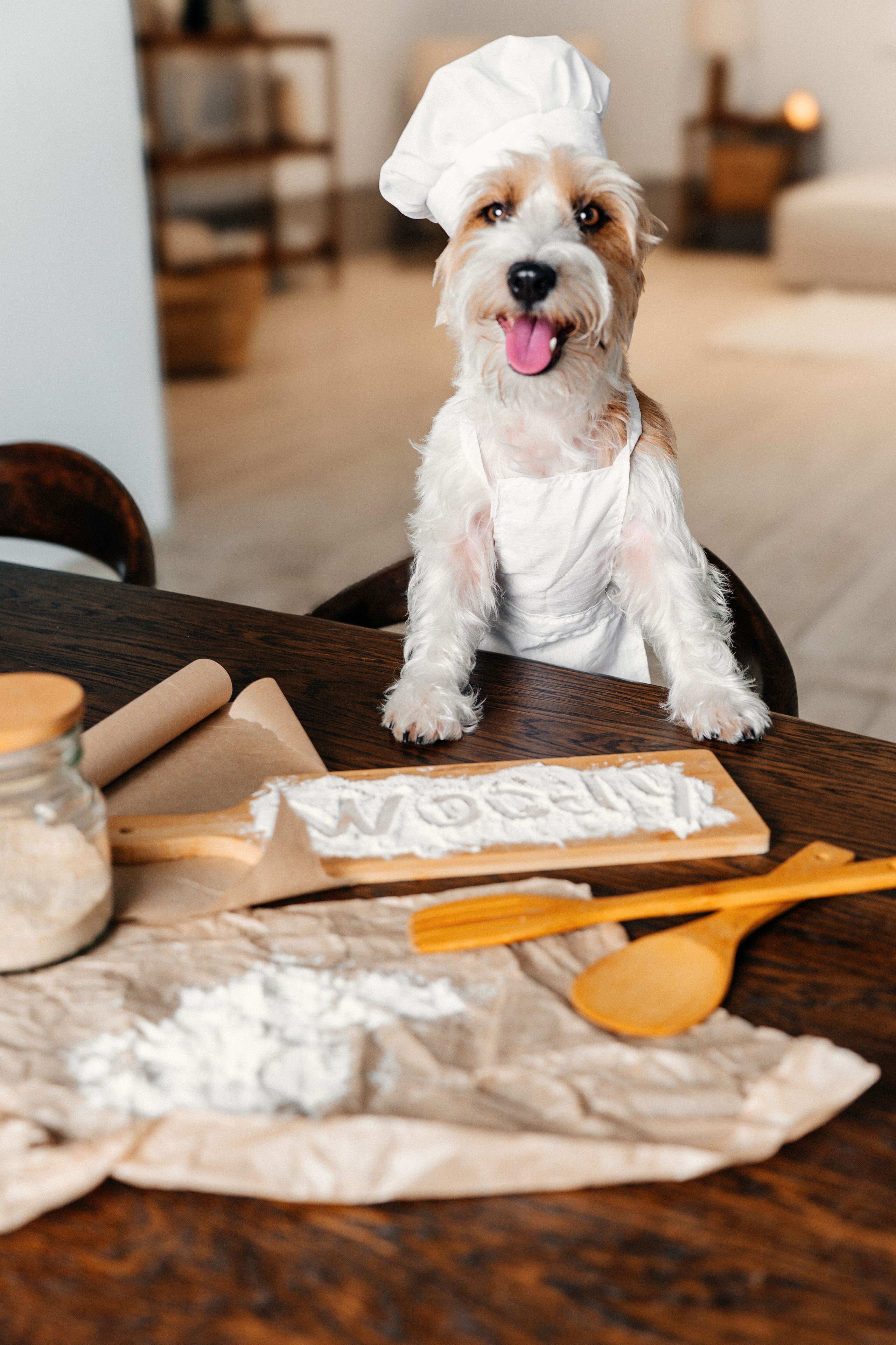 Красота хвостатых глазами хозяйки. Ваш семейный фотограф в Минске — Вика Трегубова