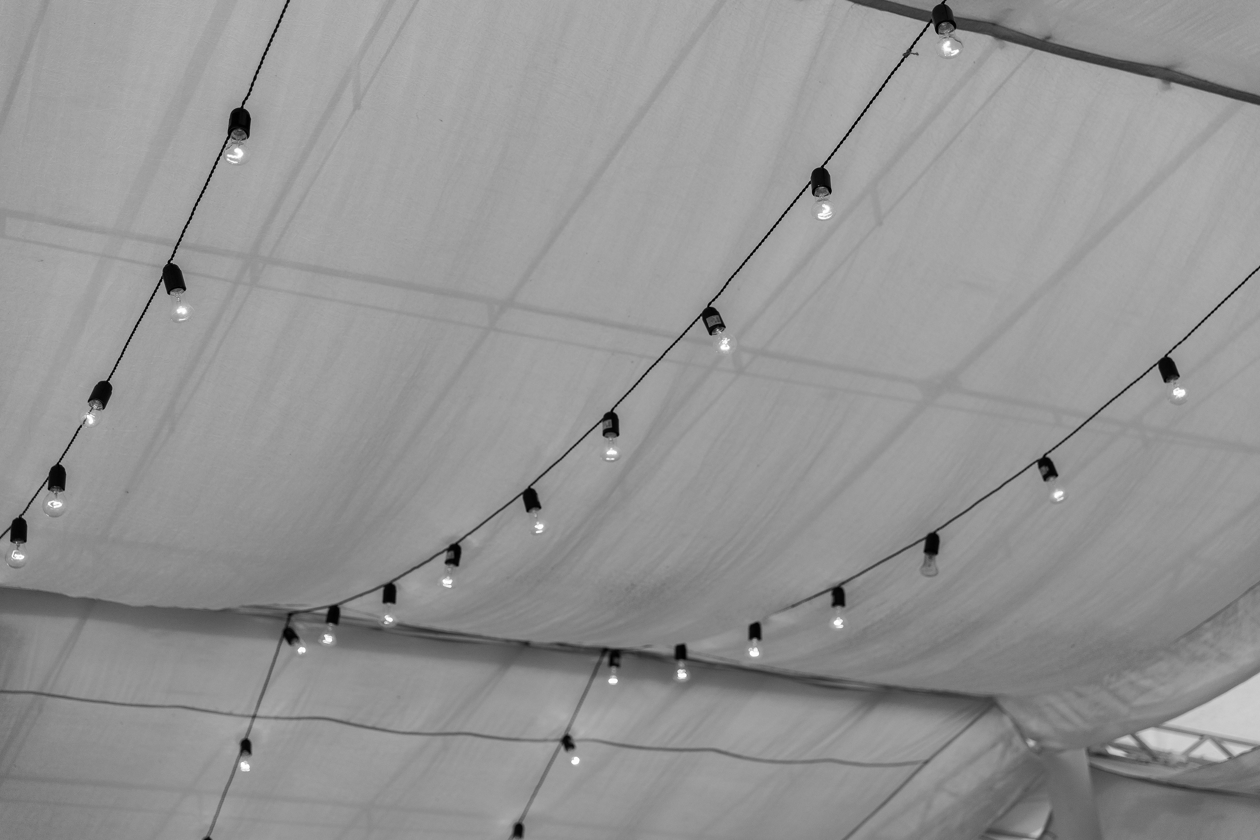 Бабочки. Фотограф Елена Краснопевцева