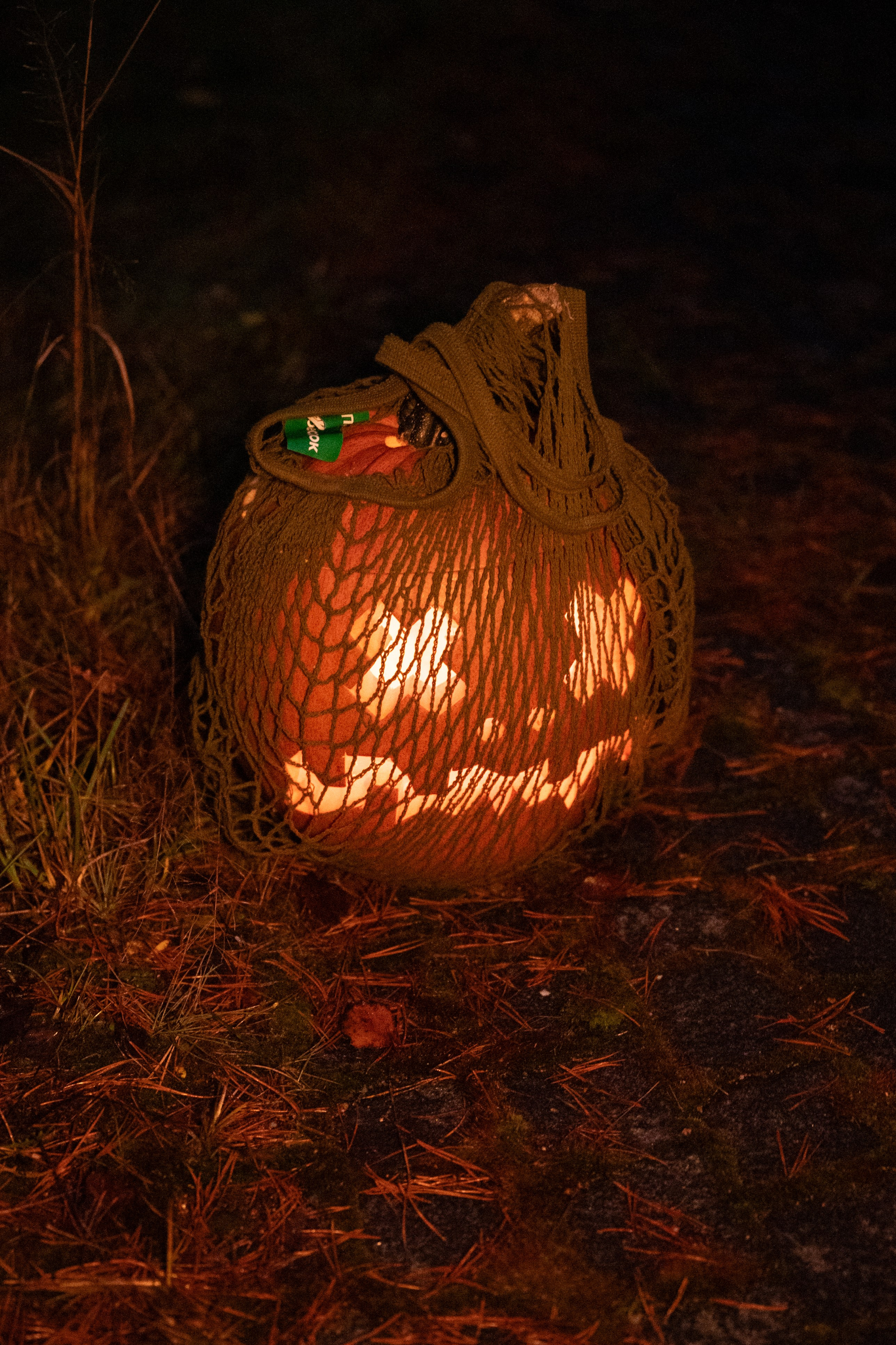 Hallowen. Фотограф Горбенко Анна