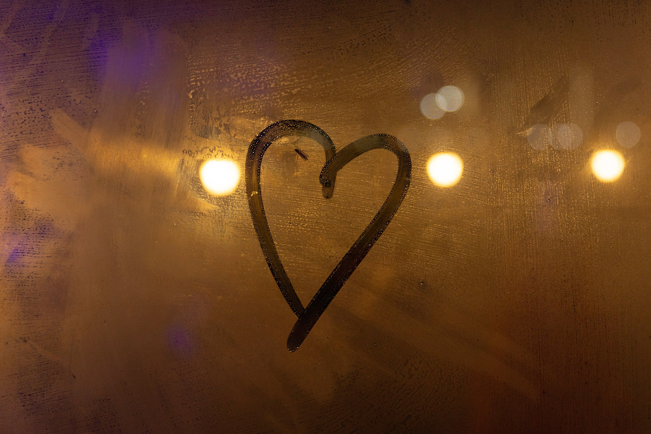 Михаил и Мария