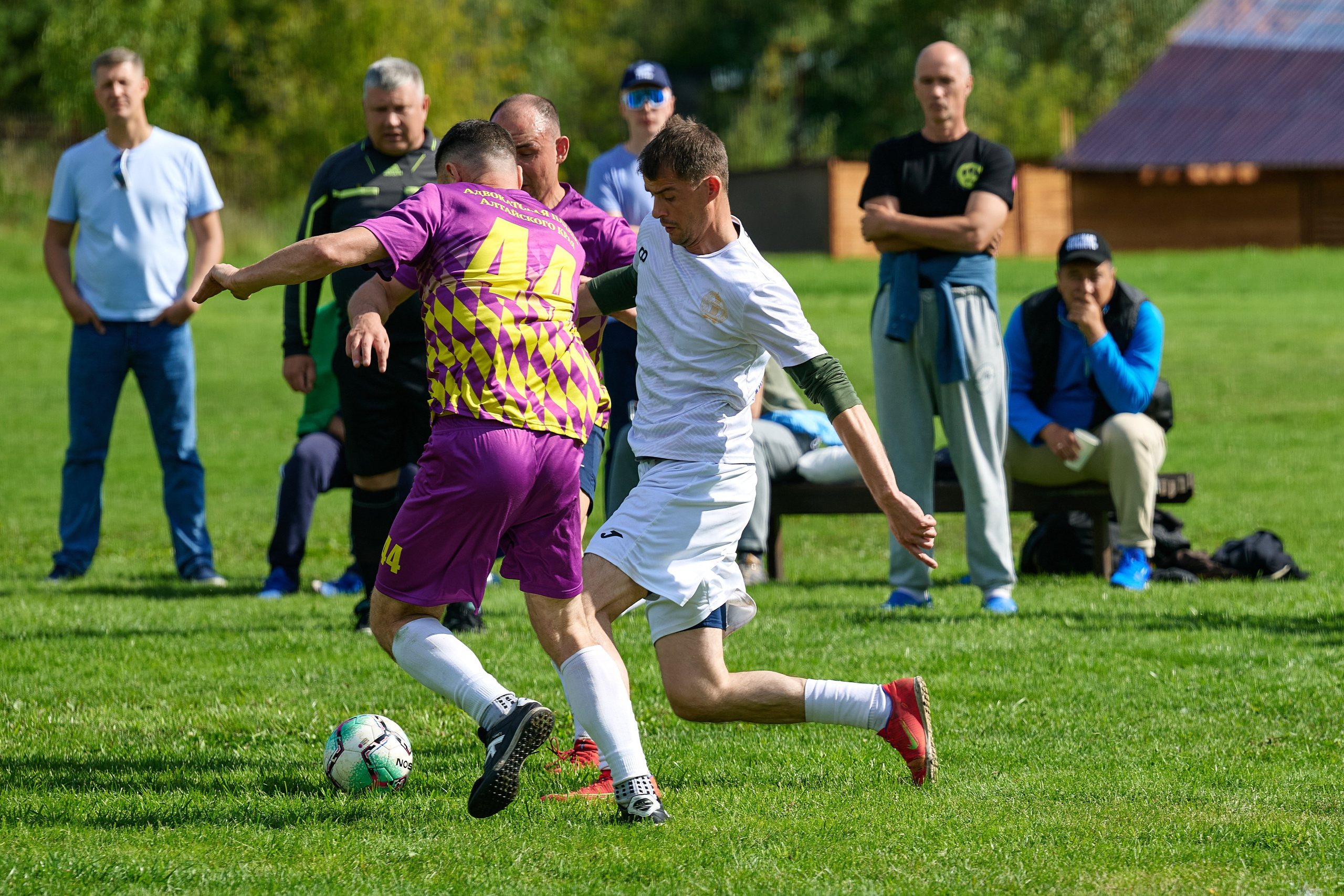 Спартакиада. Адвокаты. Фотограф Опыт Качество Скорость Горный Алтай Барнаул
