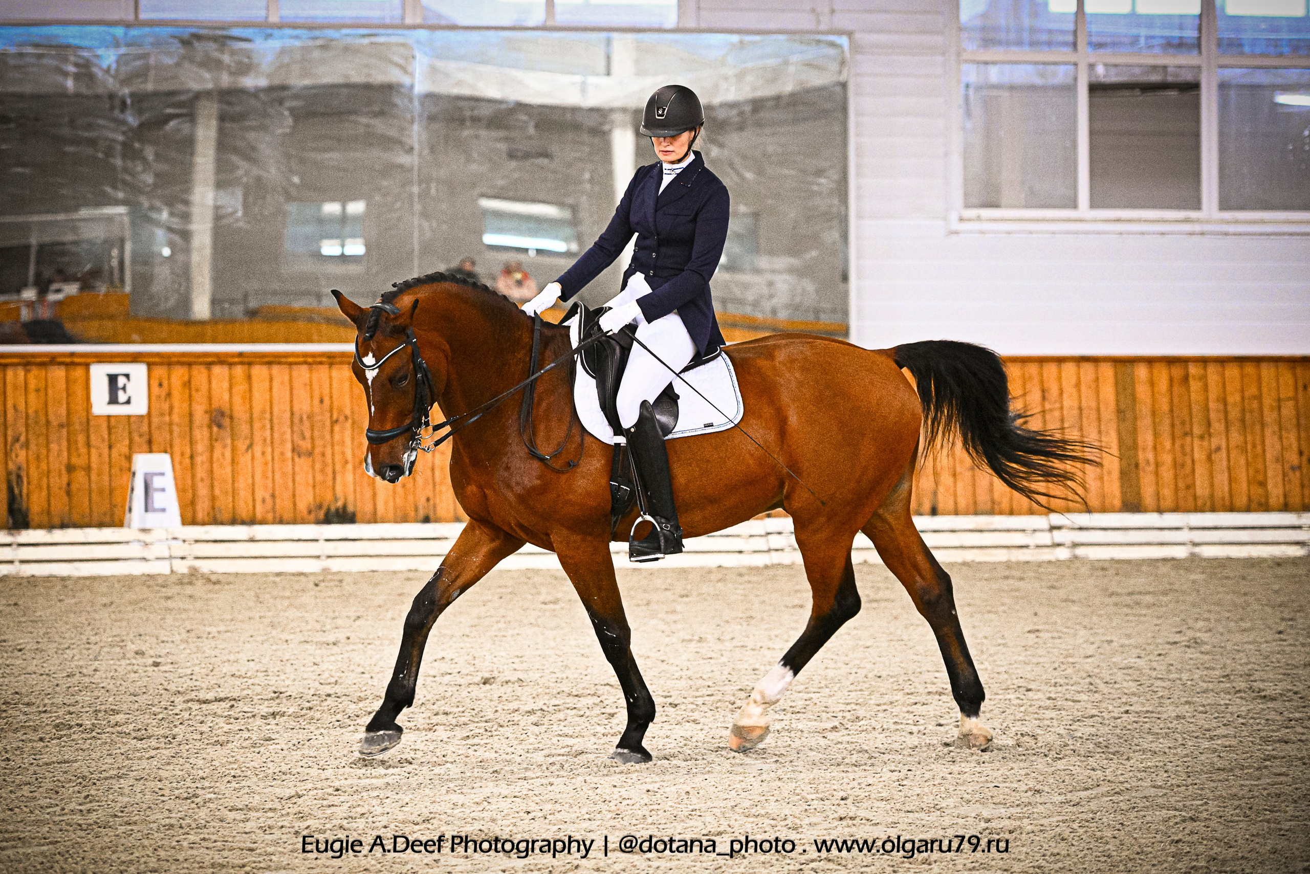 2025.10.19 — КСК Конкорд — выездка. ТУРНИРНАЯ КОННАЯ ФОТОГРАФИЯ, Руднева Ольга и Евгений Адеев