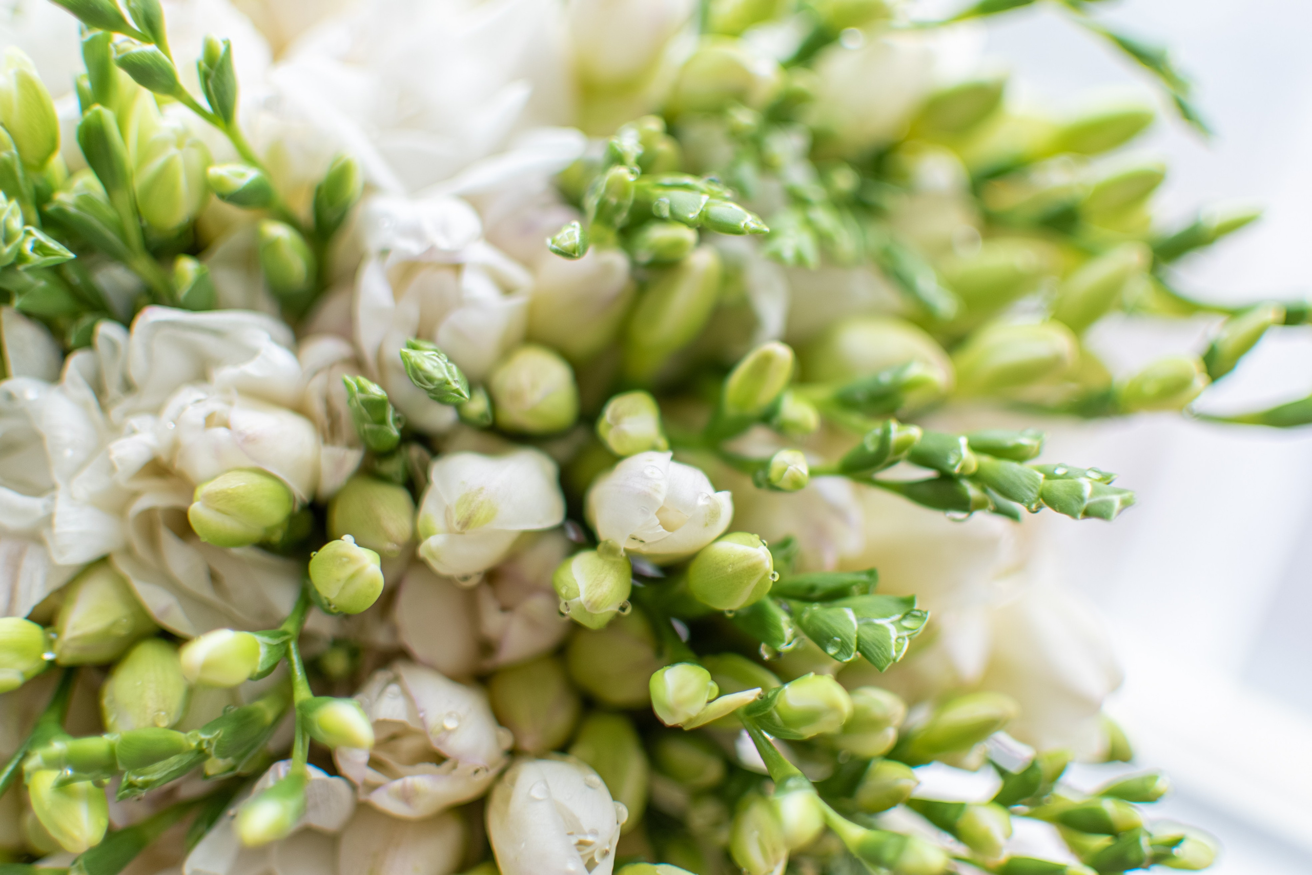 Июль, 2023 — Москва. Свадебный и семейный фотограф Екатерина Пушан. Москва, Балашиха, Железнодорожный, Солнечногорск