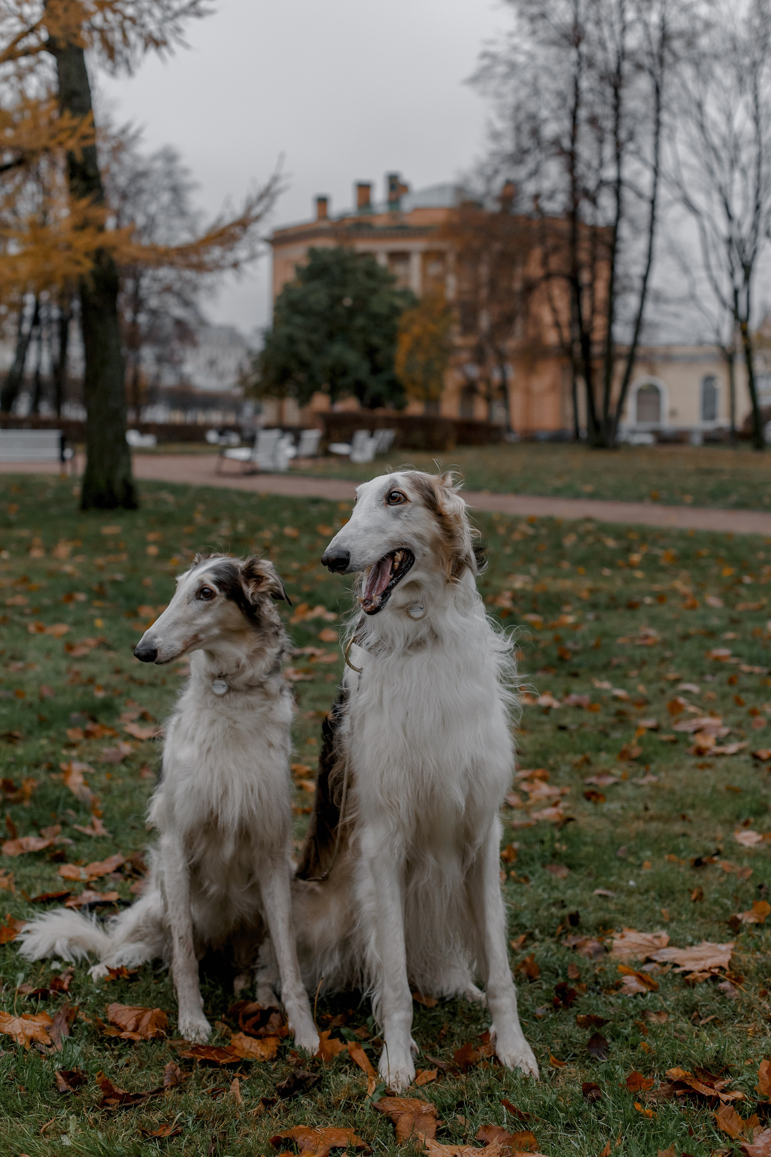 Свадебные серии. Свадебный фотограф Санкт-Петербург  Москва