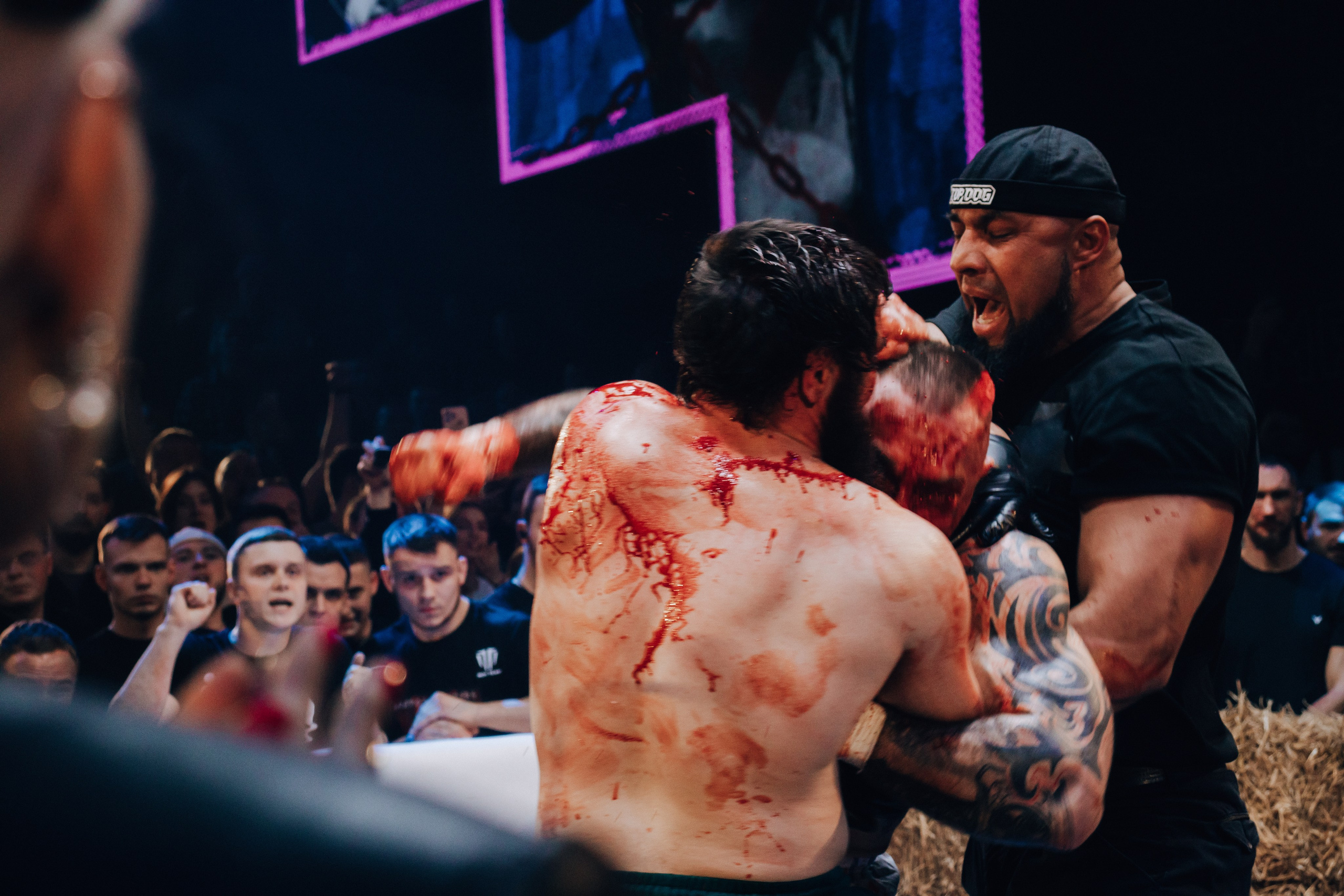 Кулачные бои TopDog. Анастасия Тен