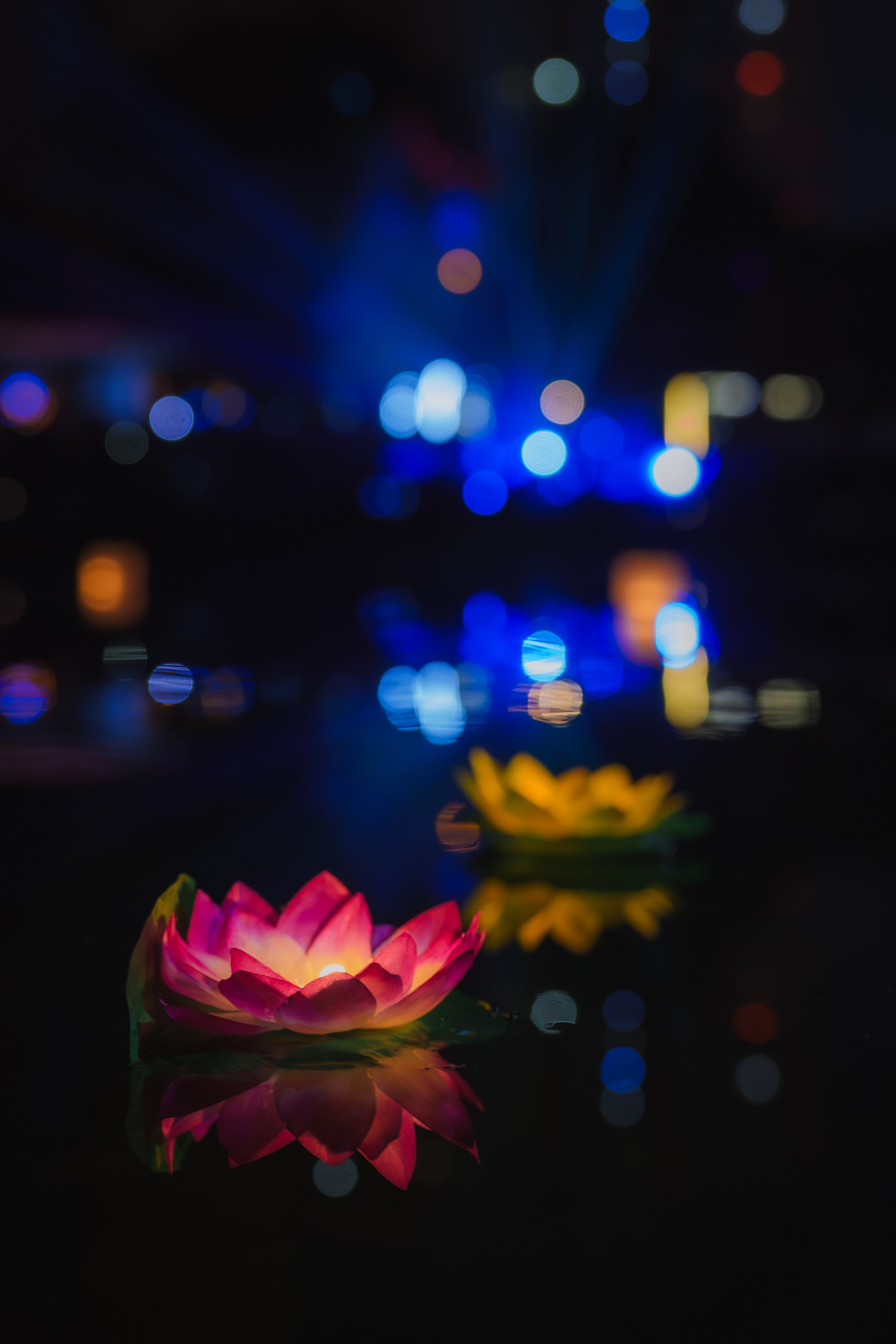 Фото-прогулка. Пенкин Александр