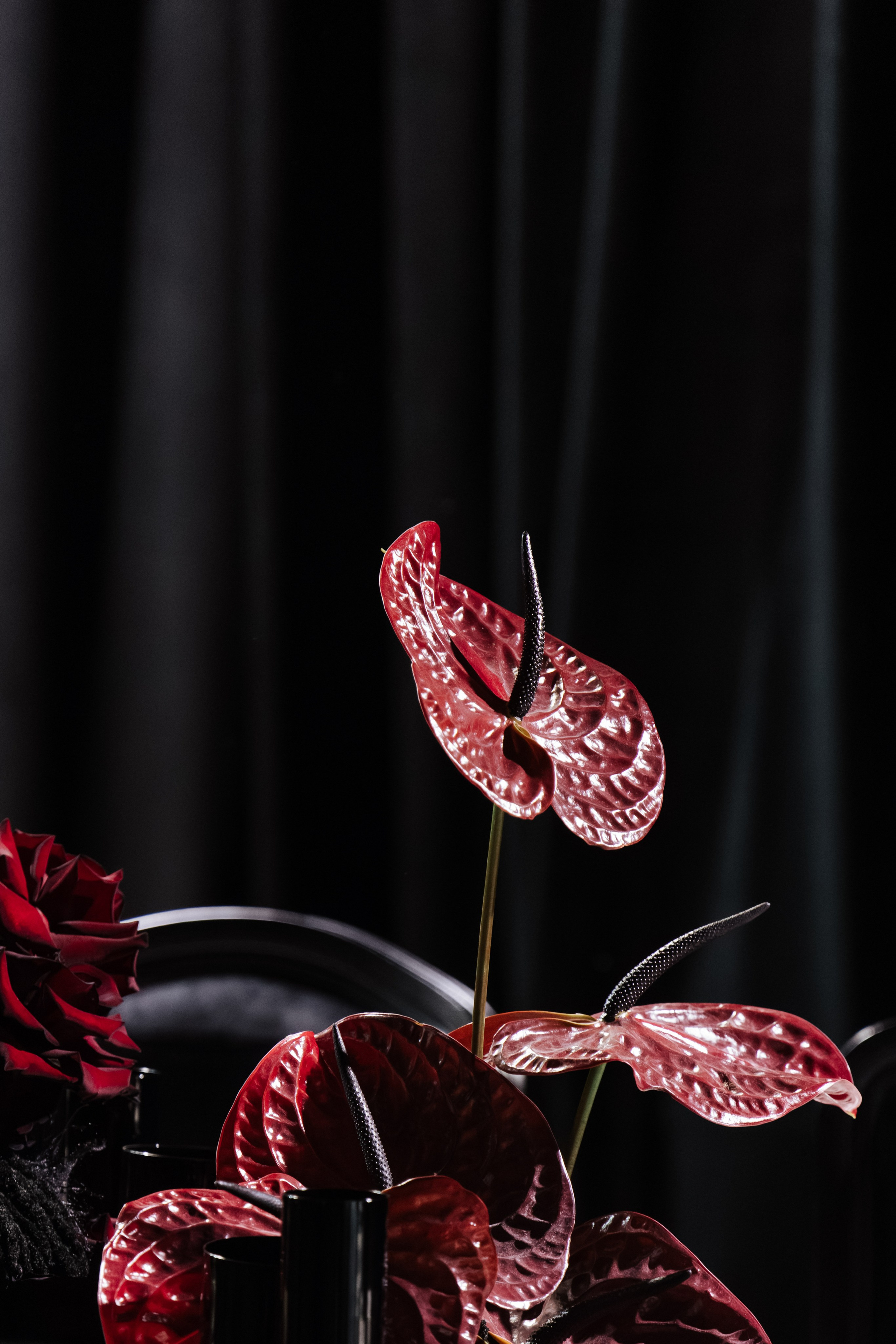 @chili_weddings. Свадебный и репортажный фотограф в Москве Владимир Сергеев | Naysaikolo