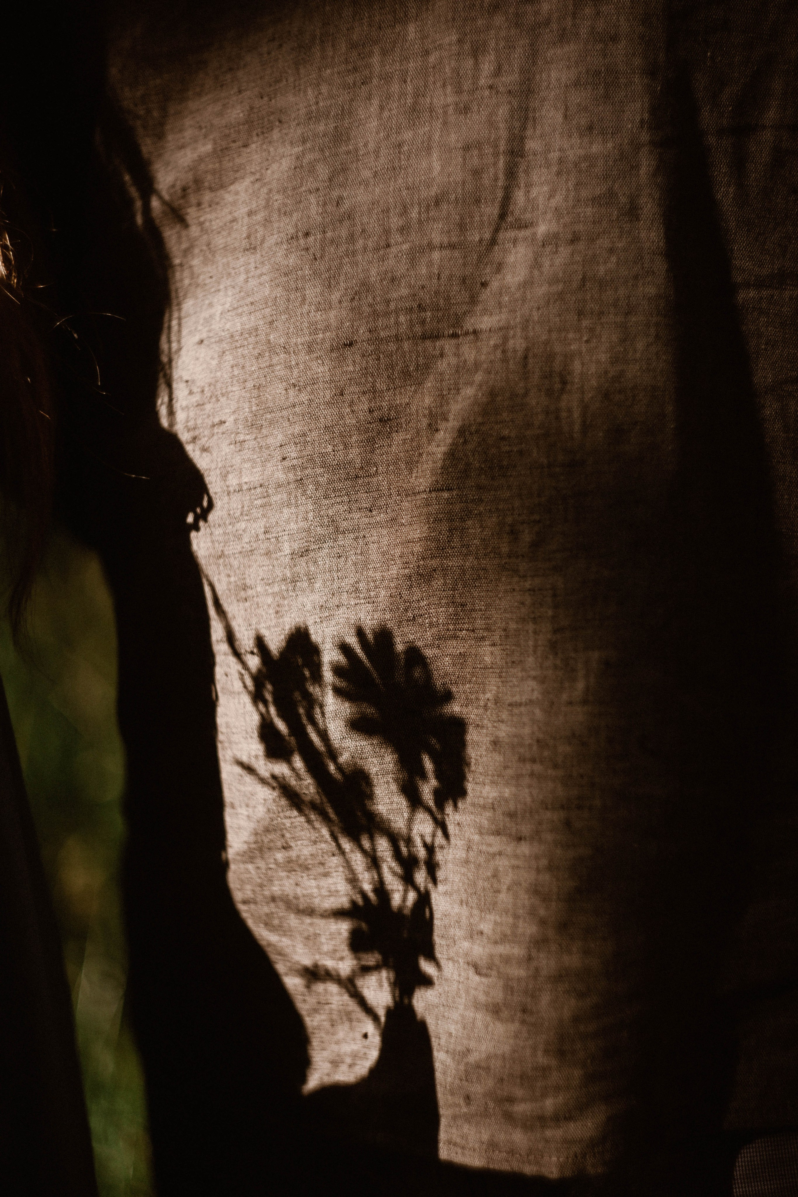 Алина+ Дима лес. Фотограф в Нижнем Новгороде