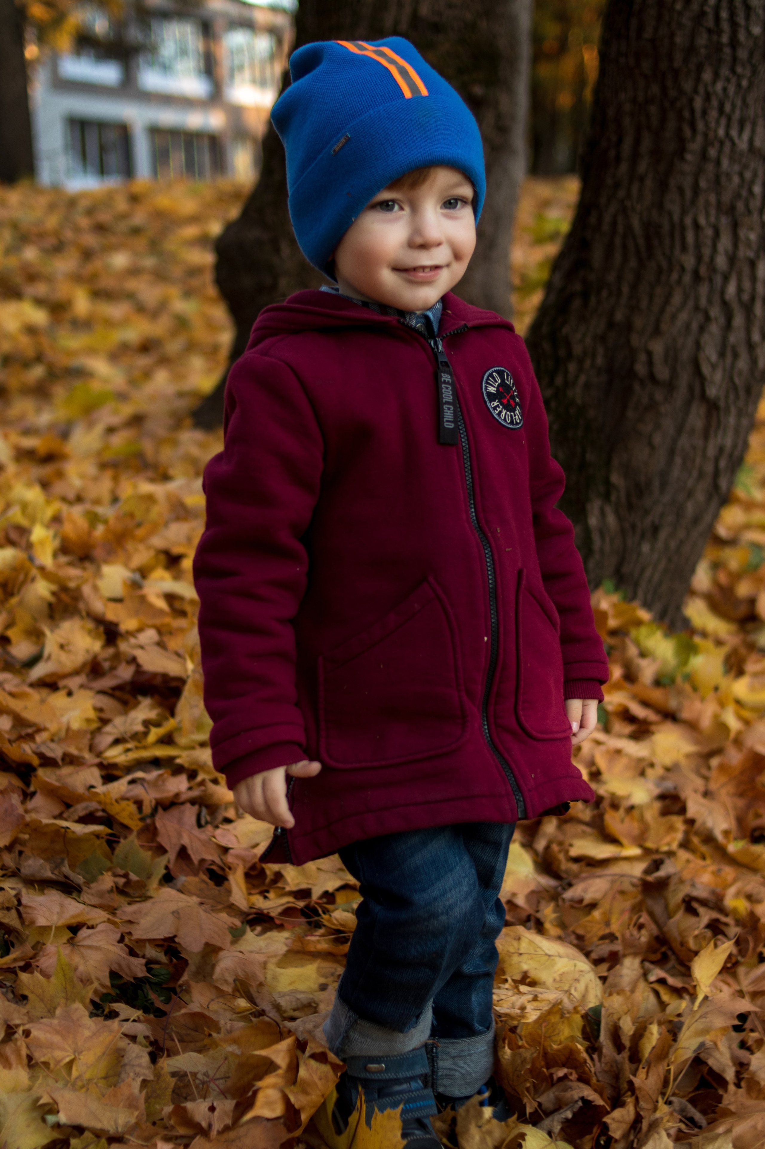 золотая осень