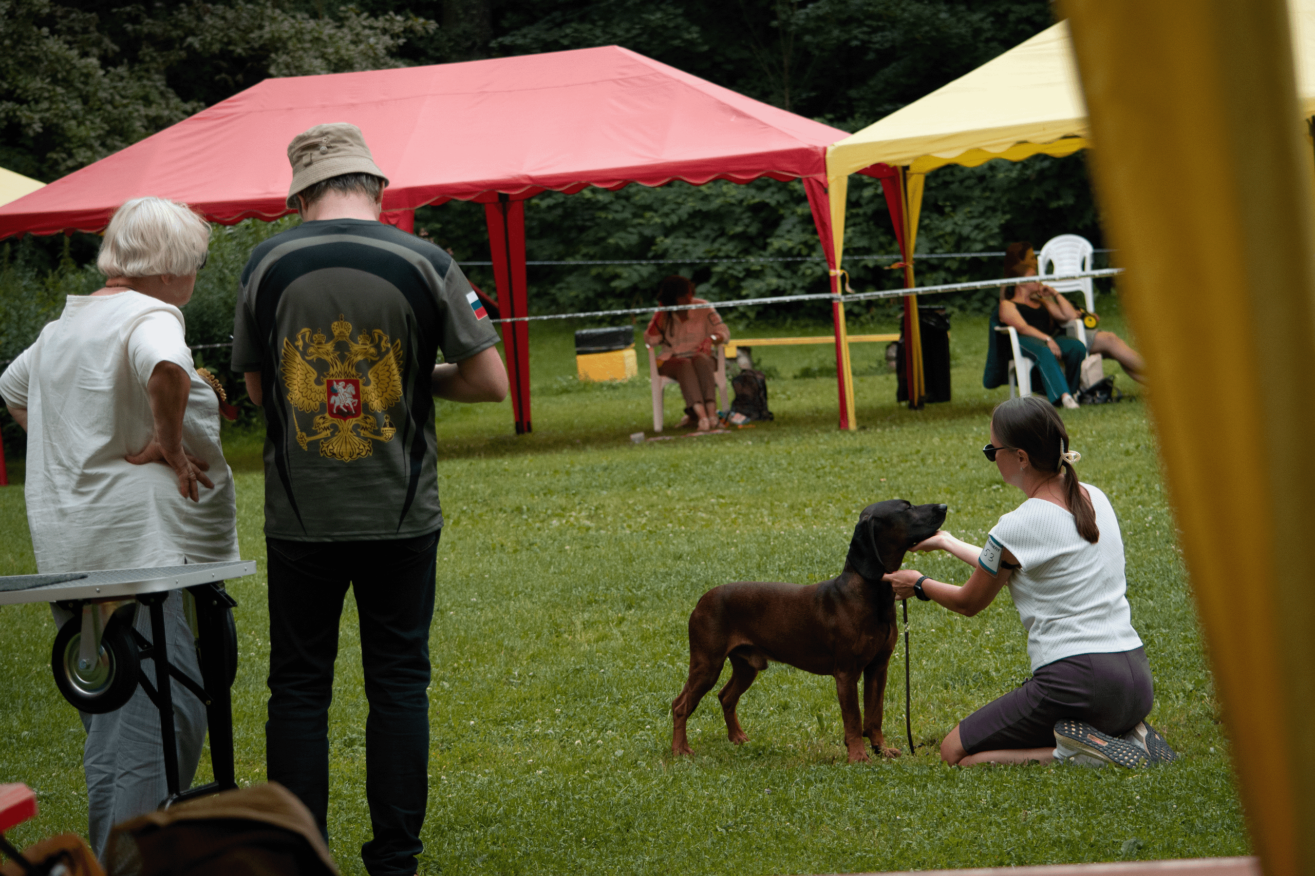 Animals. Фотограф Евгения Саботаж в г. Москва