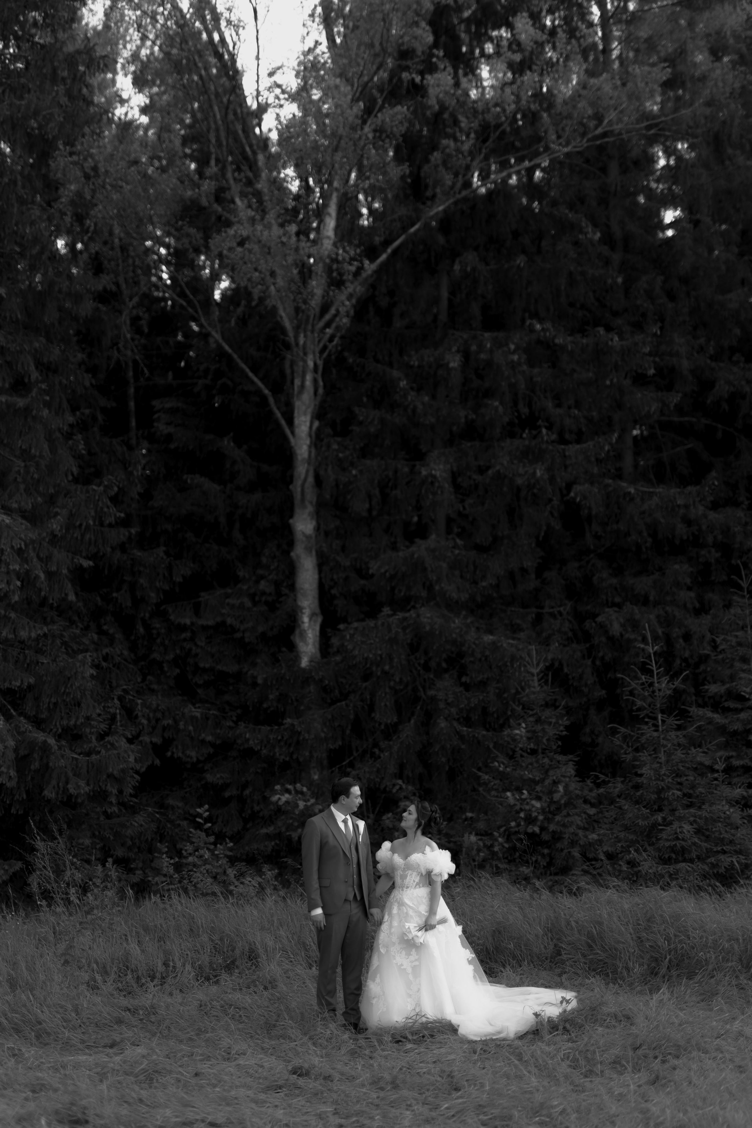 Свадьба Павла и Юлии. Фотограф Кольчугино/Владимир/Москва Елизавета Иода