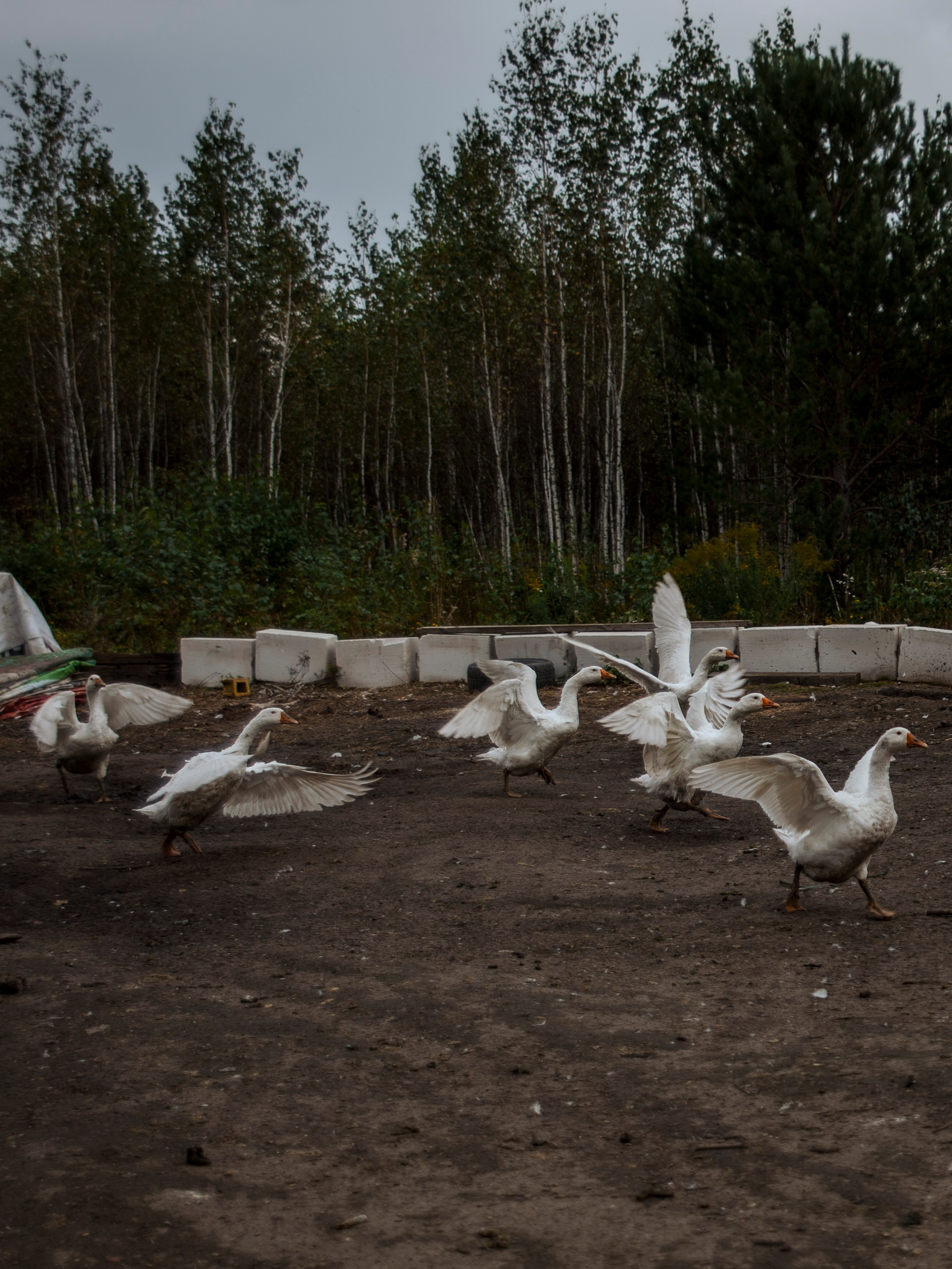 Backstage со съёмок фильма «Reverenсе». Портретный фотограф в Москве Дарья Цезария