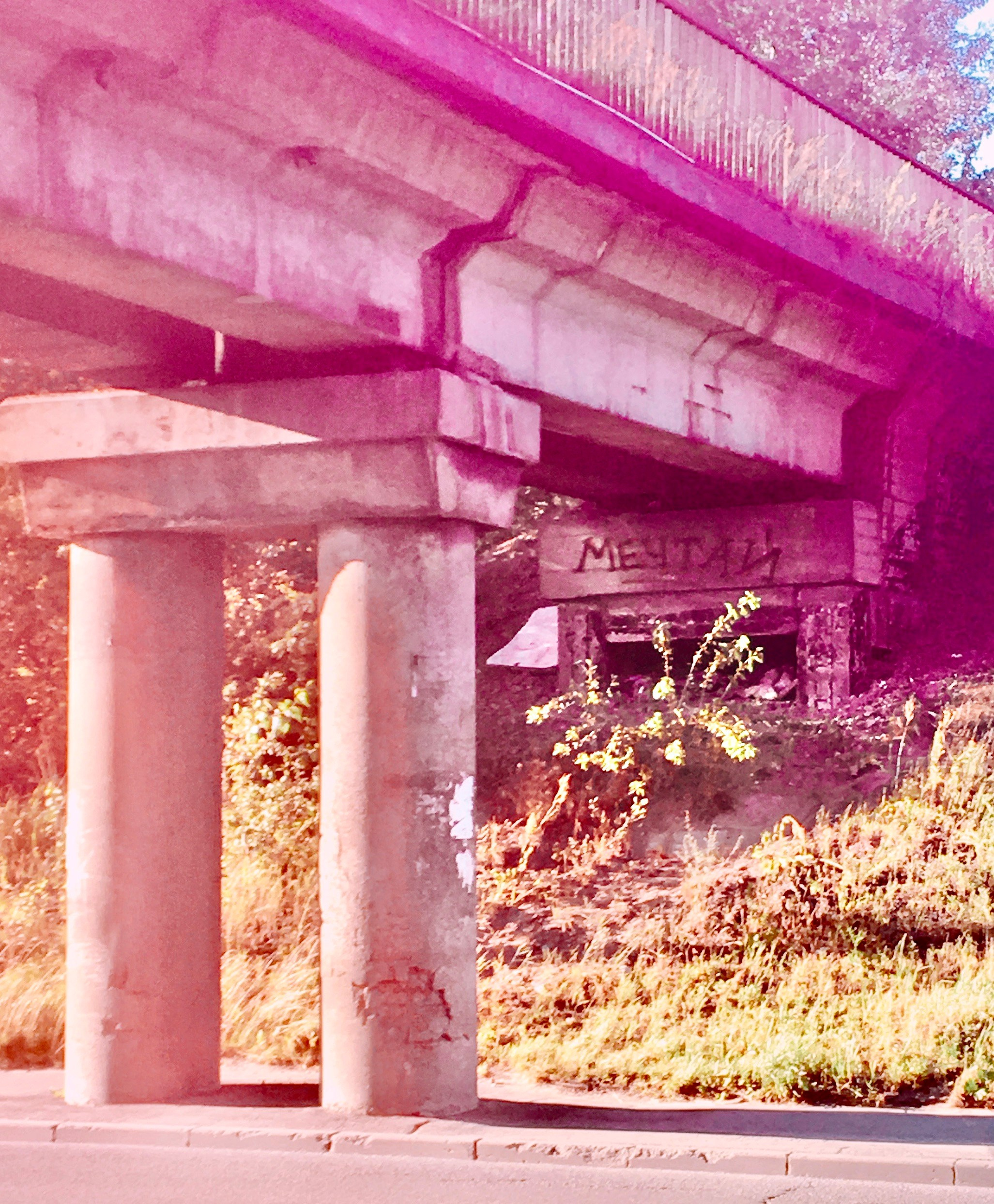 Street Caps. Alina Panover