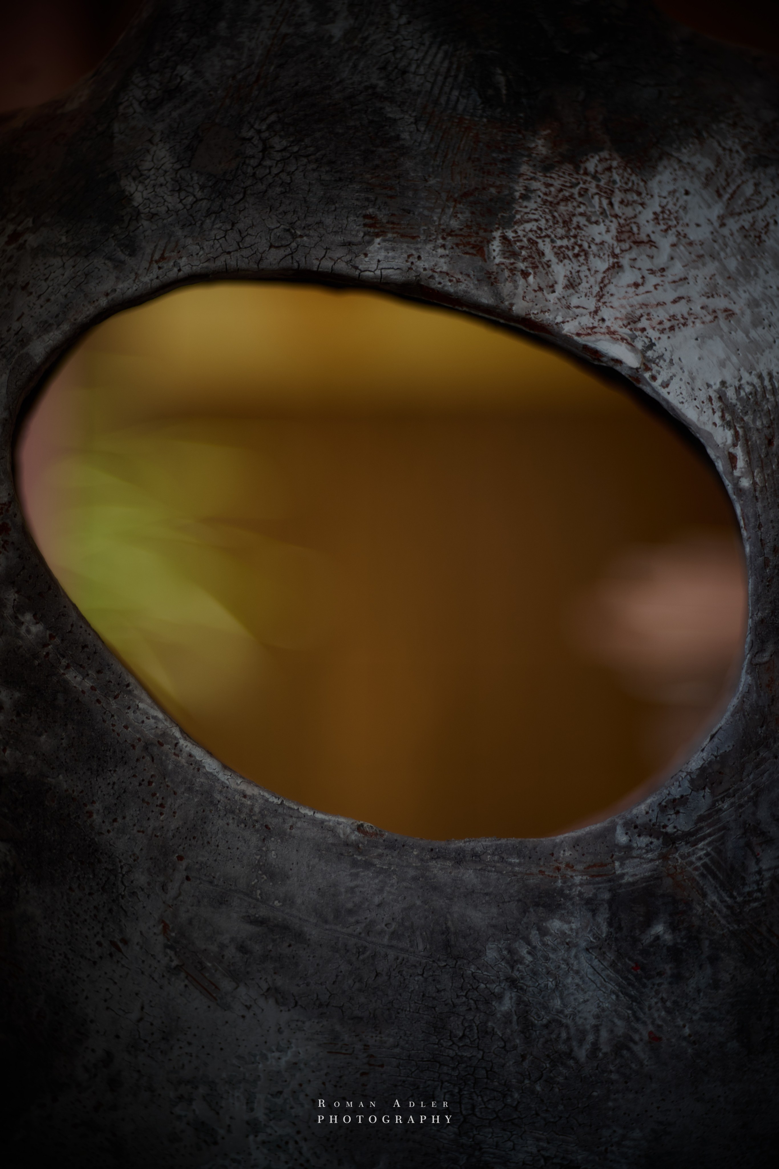 Культурные Встречи (Hotel Continental). Фотограф Роман Адлер