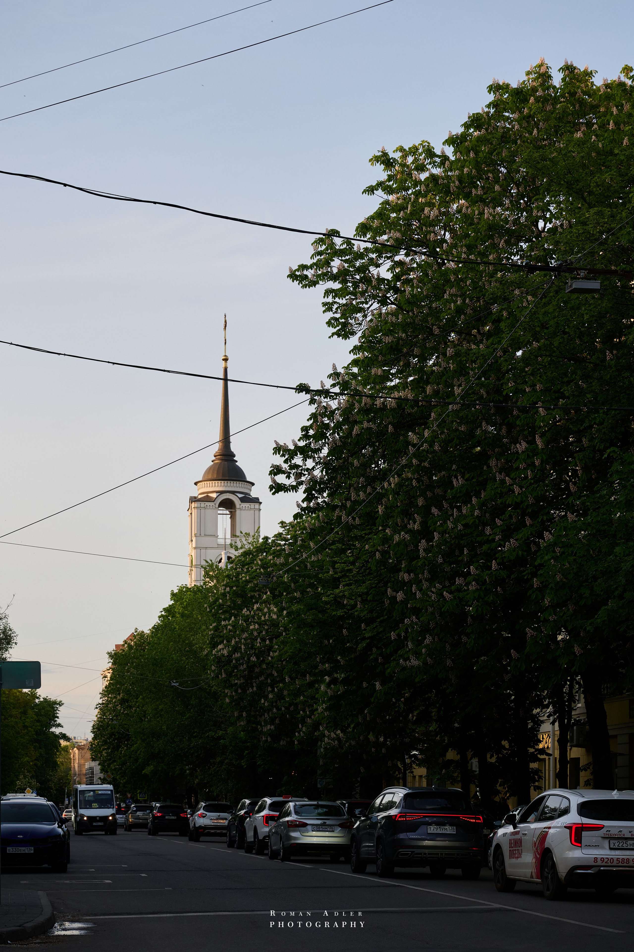 Воронеж. Май 2025. Фотограф Роман Адлер