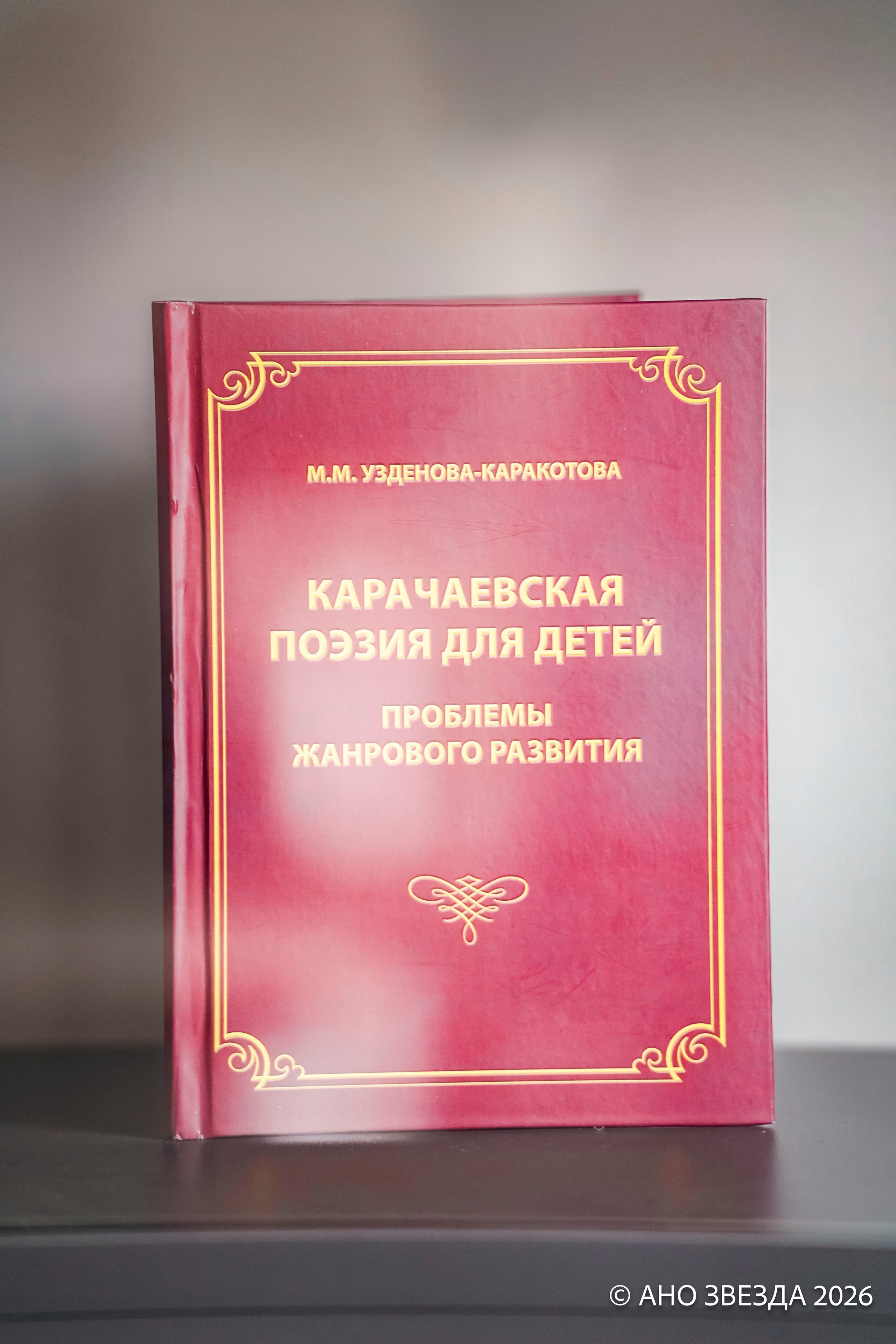 Федеральный проект «Сила в смысле» Кавказ. Репортажный фотограф: свадьбы, корпоративы, Пятигорск СКФО