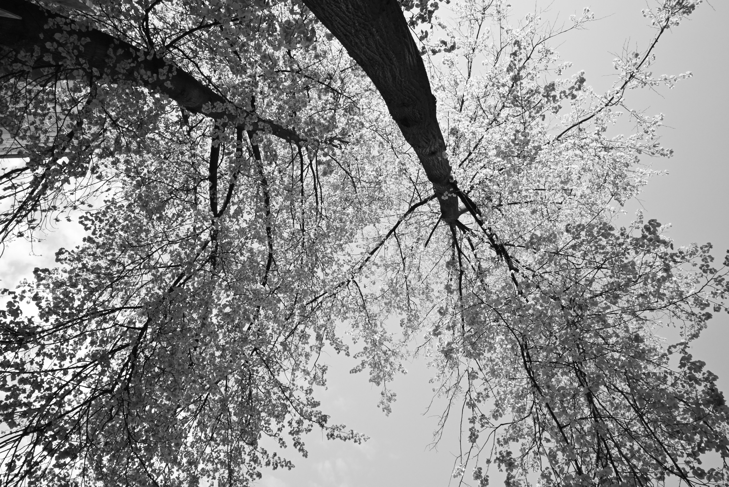 Street-фото. Дарья Медведева