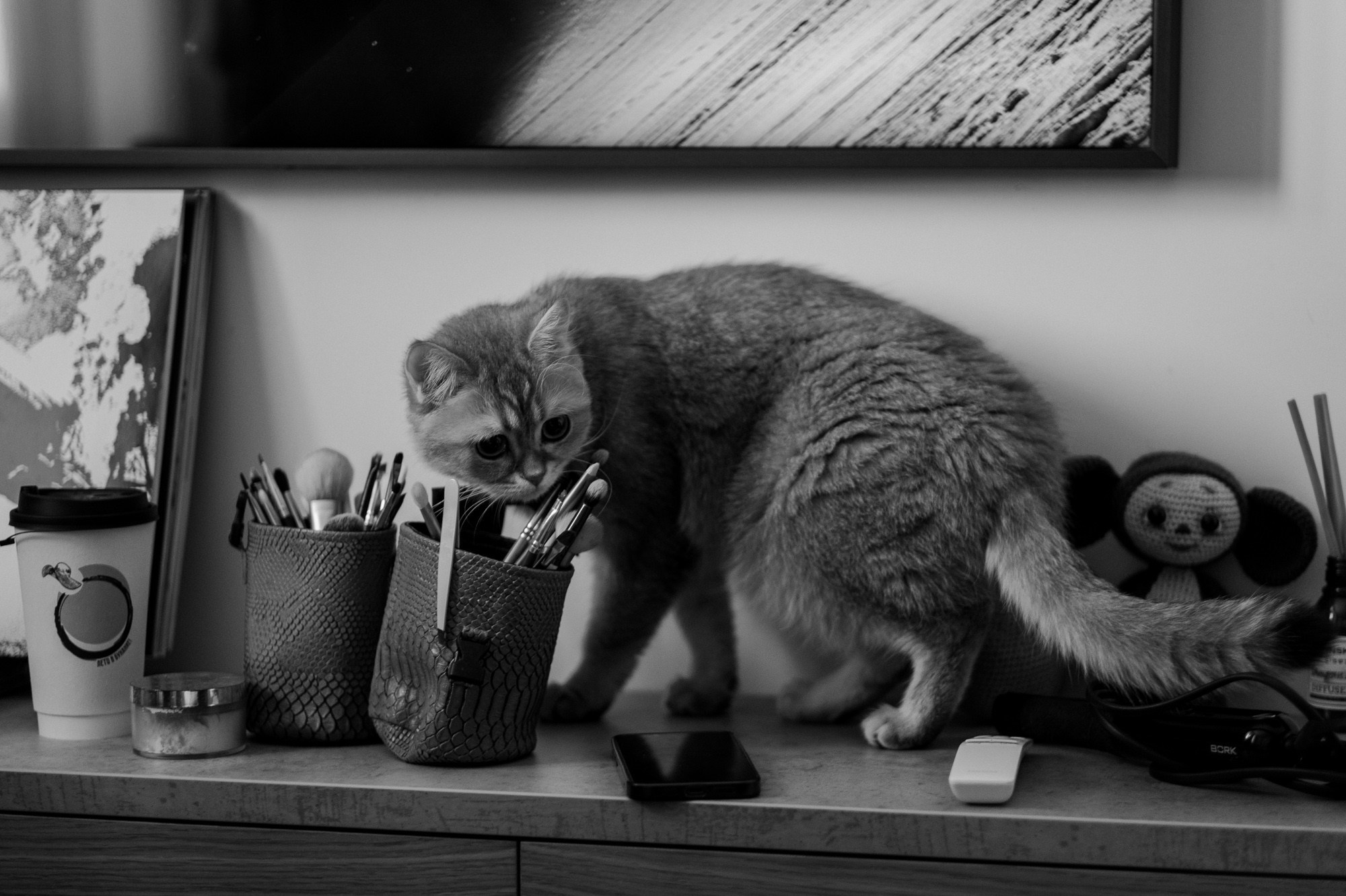 Диана и Леша. Свадебный фотограф Александра Тюлякова