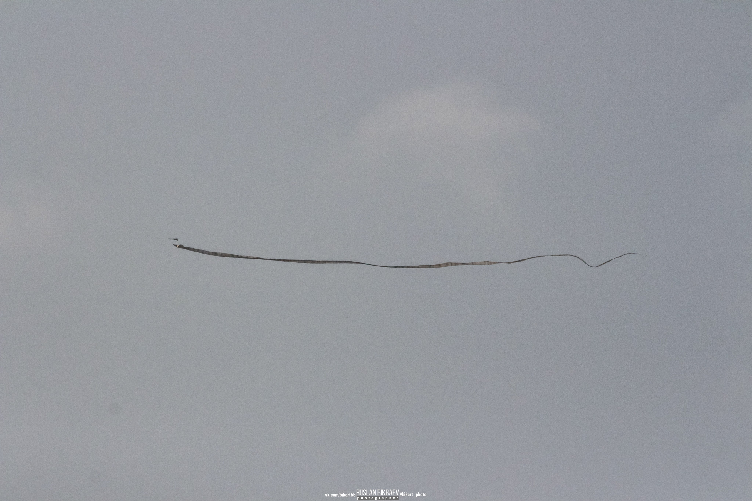 ШРИ-ЛАНКА 2025 / SRI LANKA 2025. Главная