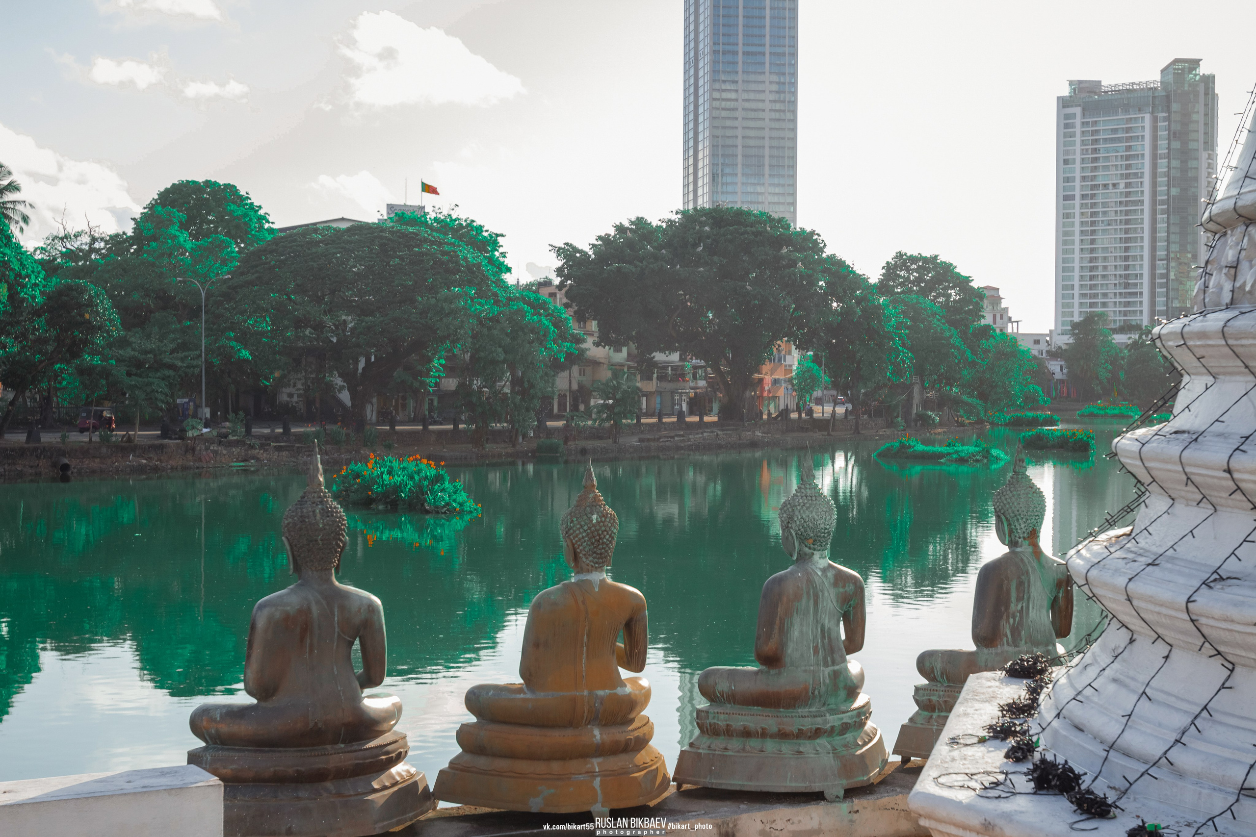 ШРИ-ЛАНКА 2025 / SRI LANKA 2025. Главная