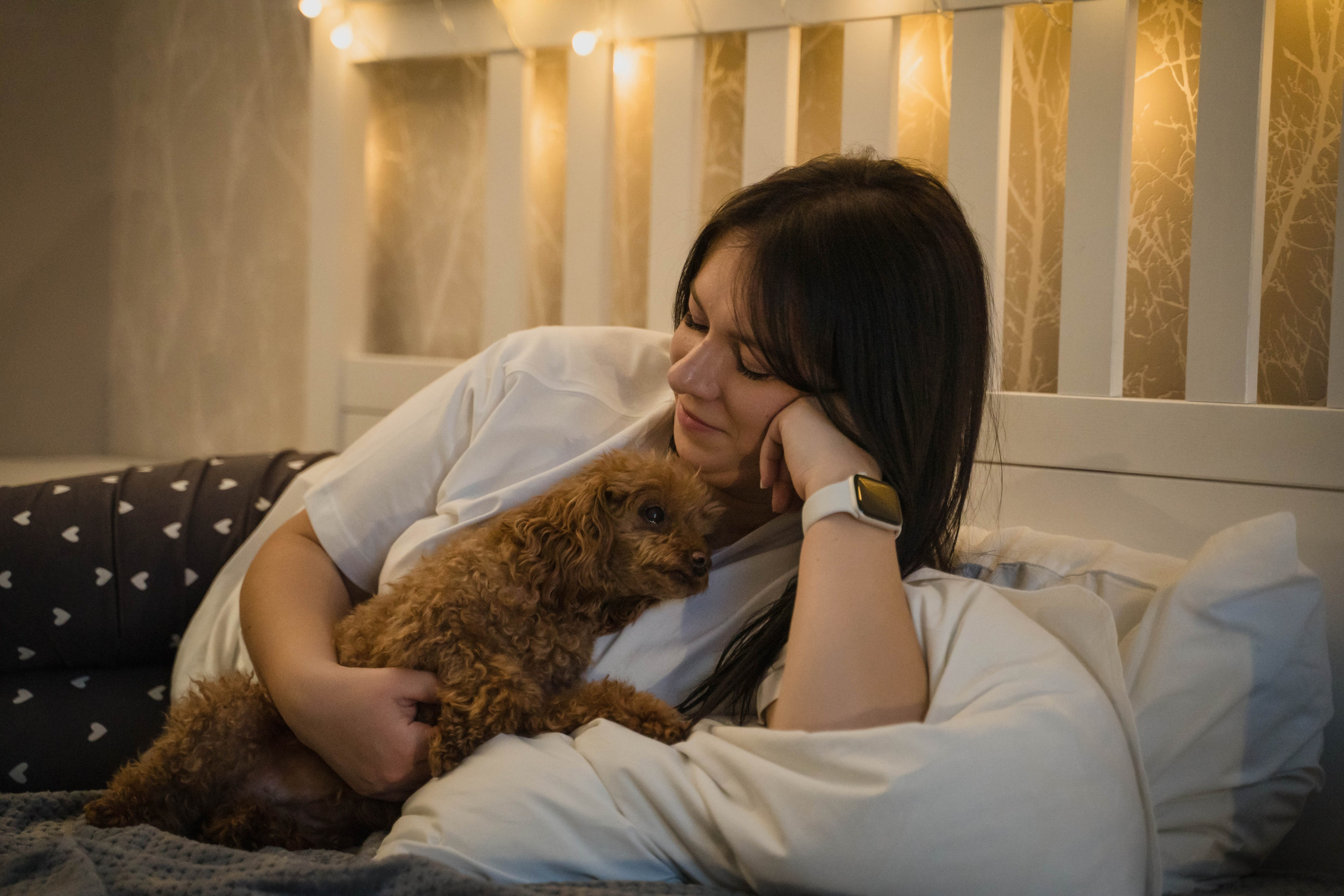 Предновогодний вечер. Главная