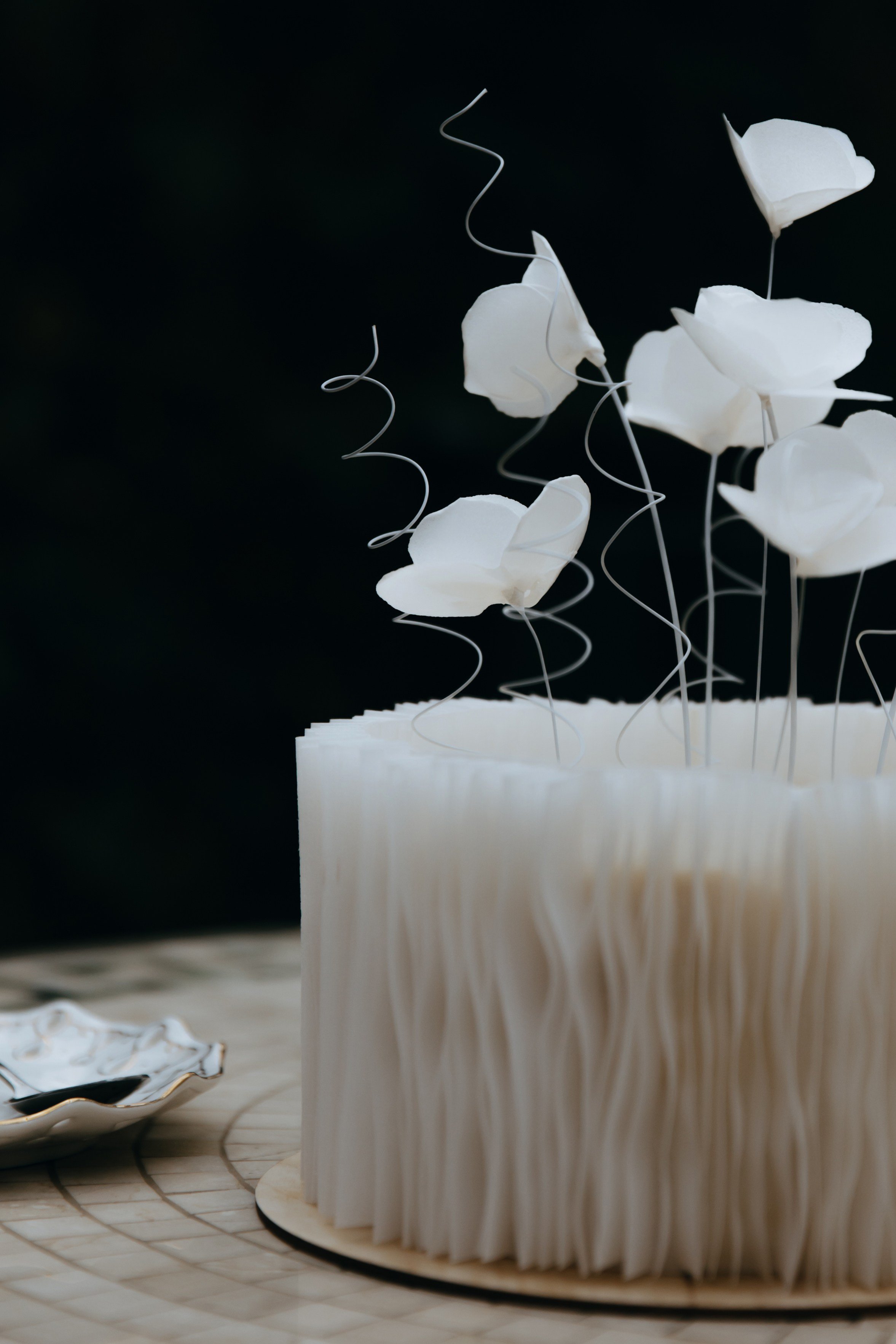 12.10.25. Фотограф в Белгороде Анастасия Веленгурская