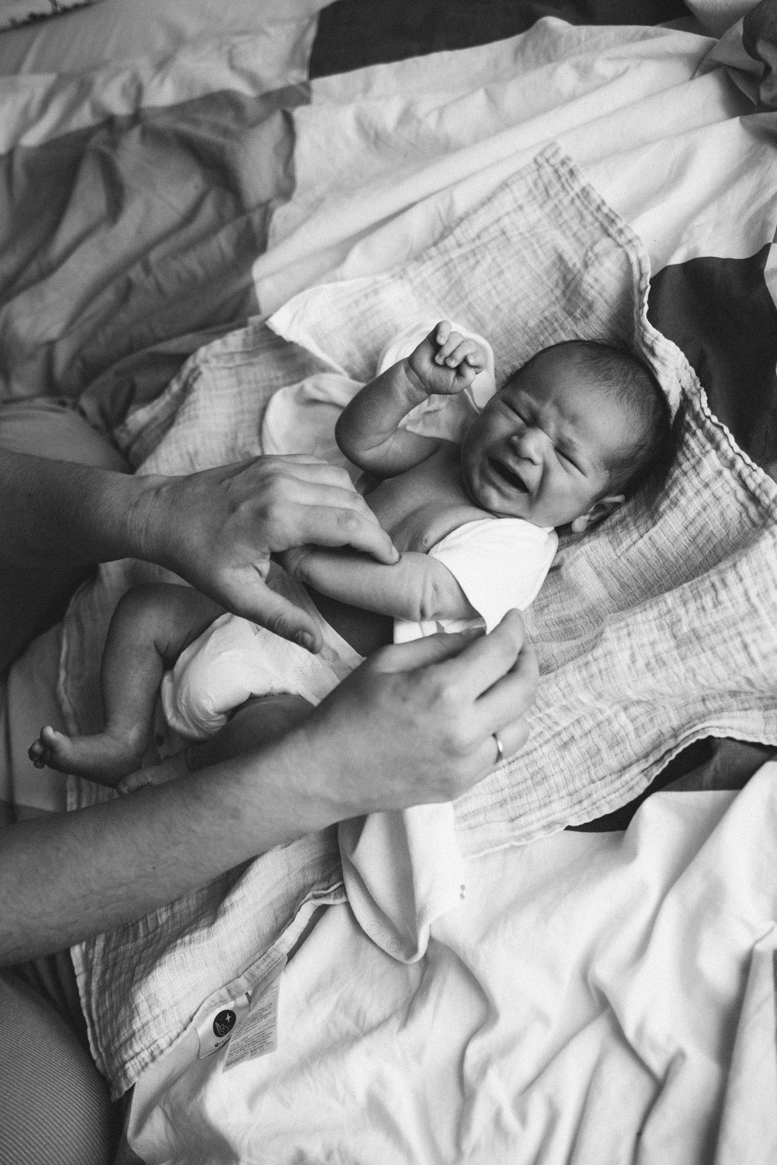 Лев родился. Фотограф Ксения Степаненко