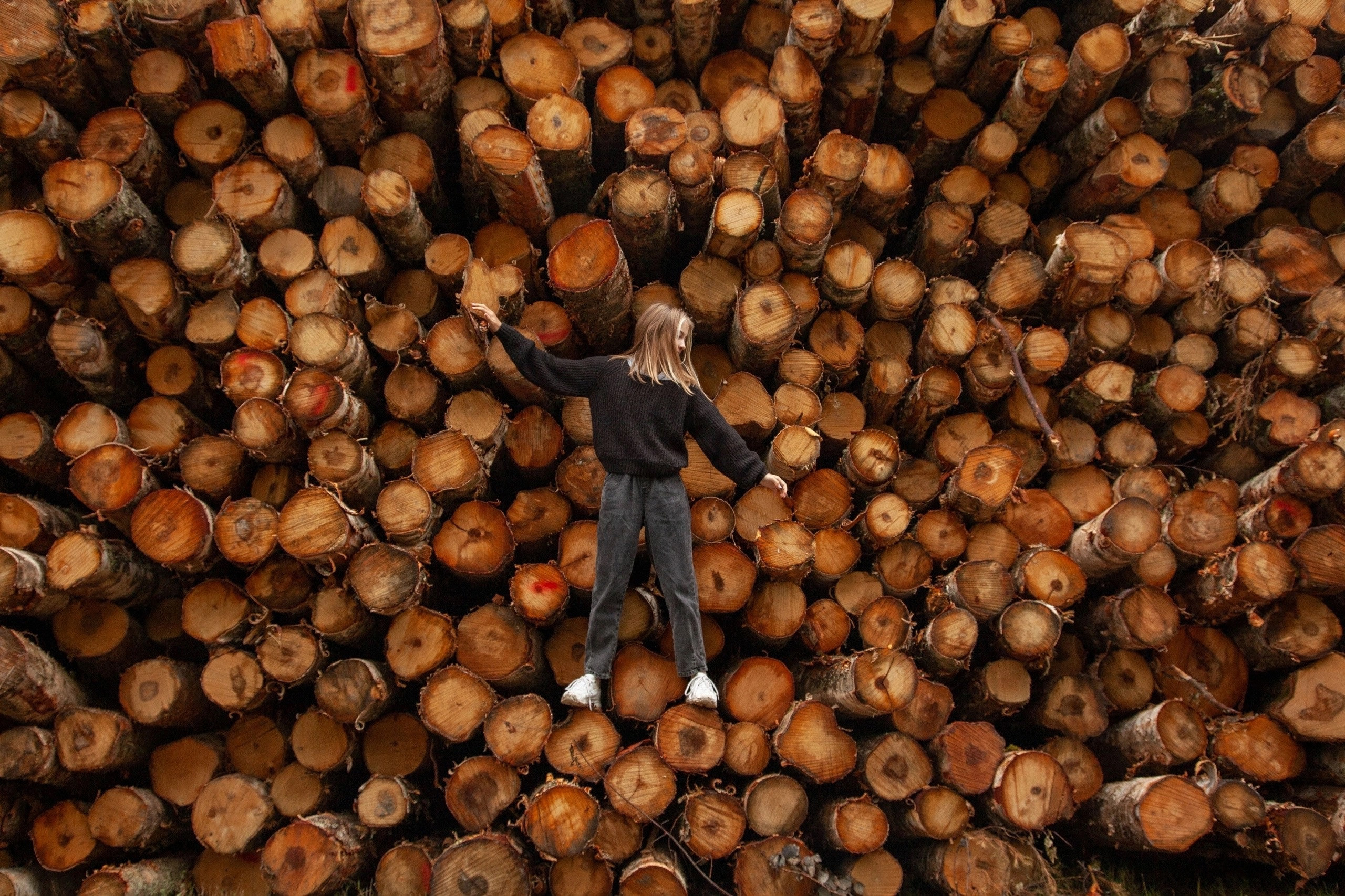 Осень. Фотограф Татьяна Воронова, Детские и Семейные фото