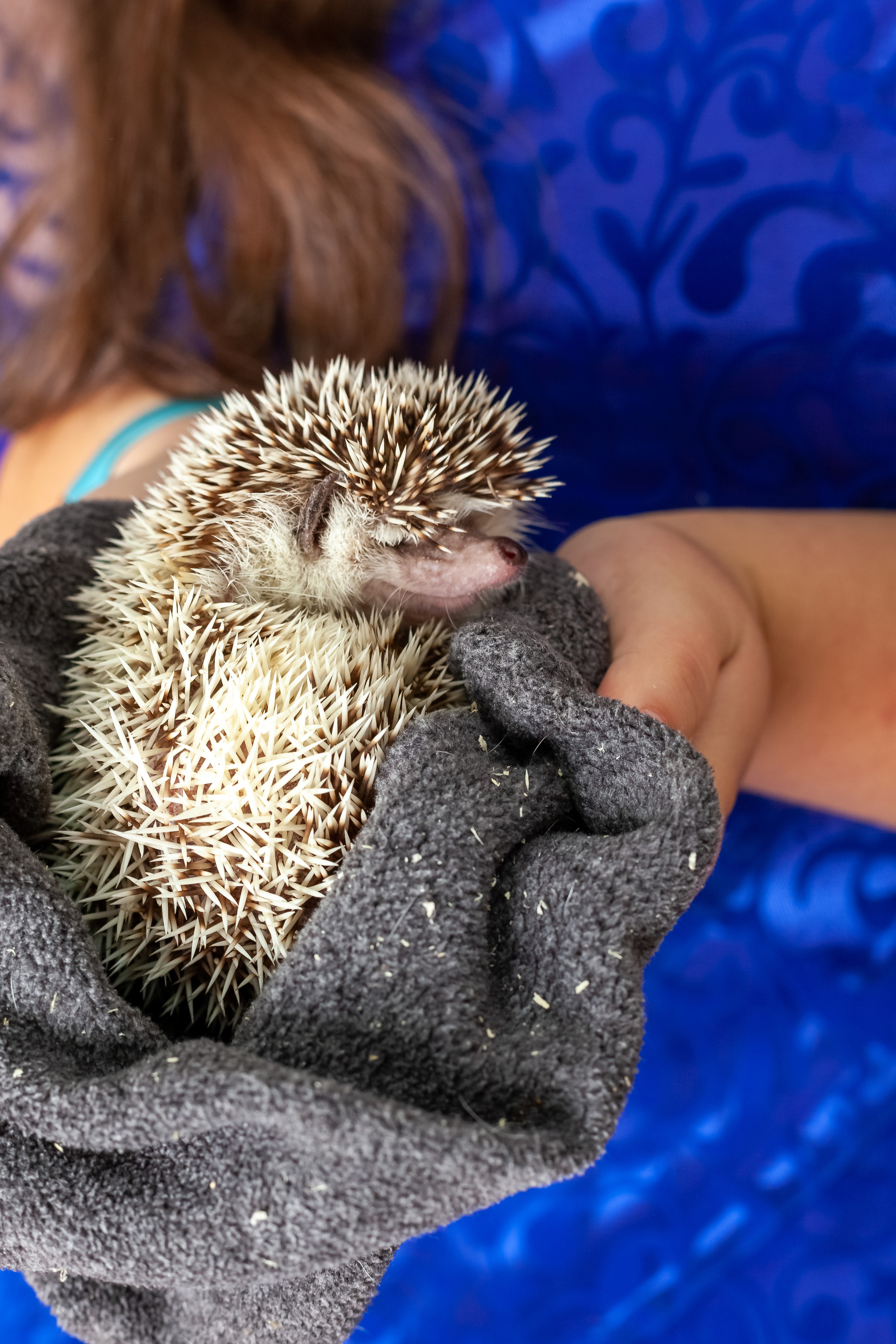 Фотосессия с живым ЁЖИКоМ. Фотограф Татьяна Воронова, Детские и Семейные фото