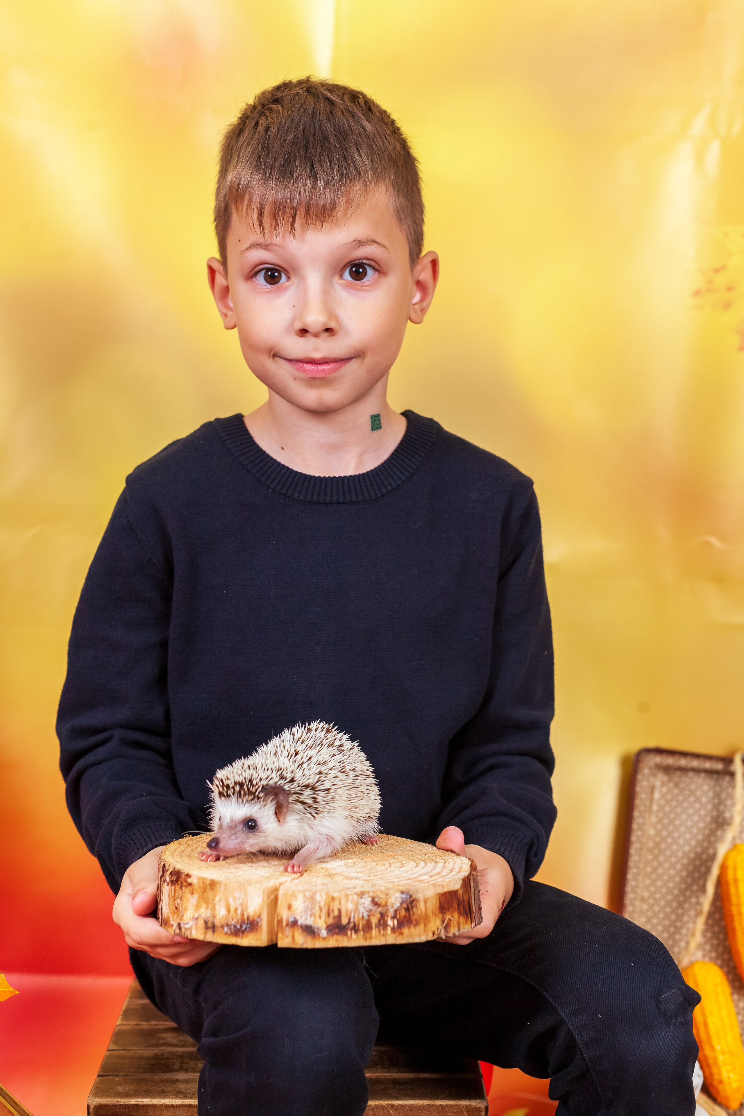 Фотосессия с живым ЁЖИКоМ. Фотограф Татьяна Воронова, Детские и Семейные фото