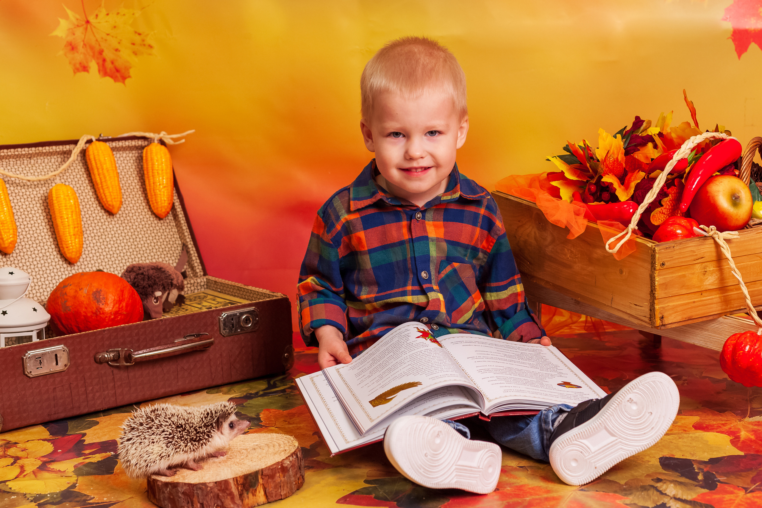 Фотосессия с живым ЁЖИКоМ. Фотограф Татьяна Воронова, Детские и Семейные фото