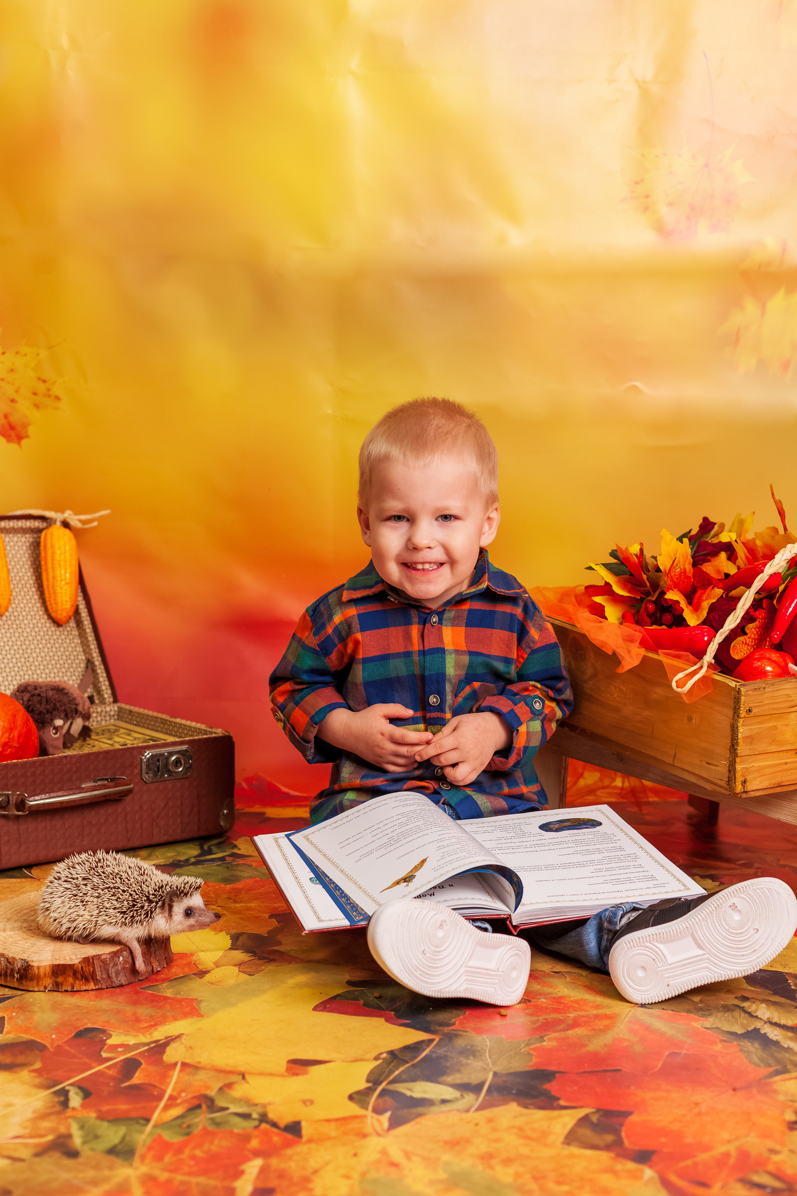 Фотосессия с живым ЁЖИКоМ. Фотограф Татьяна Воронова, Детские и Семейные фото