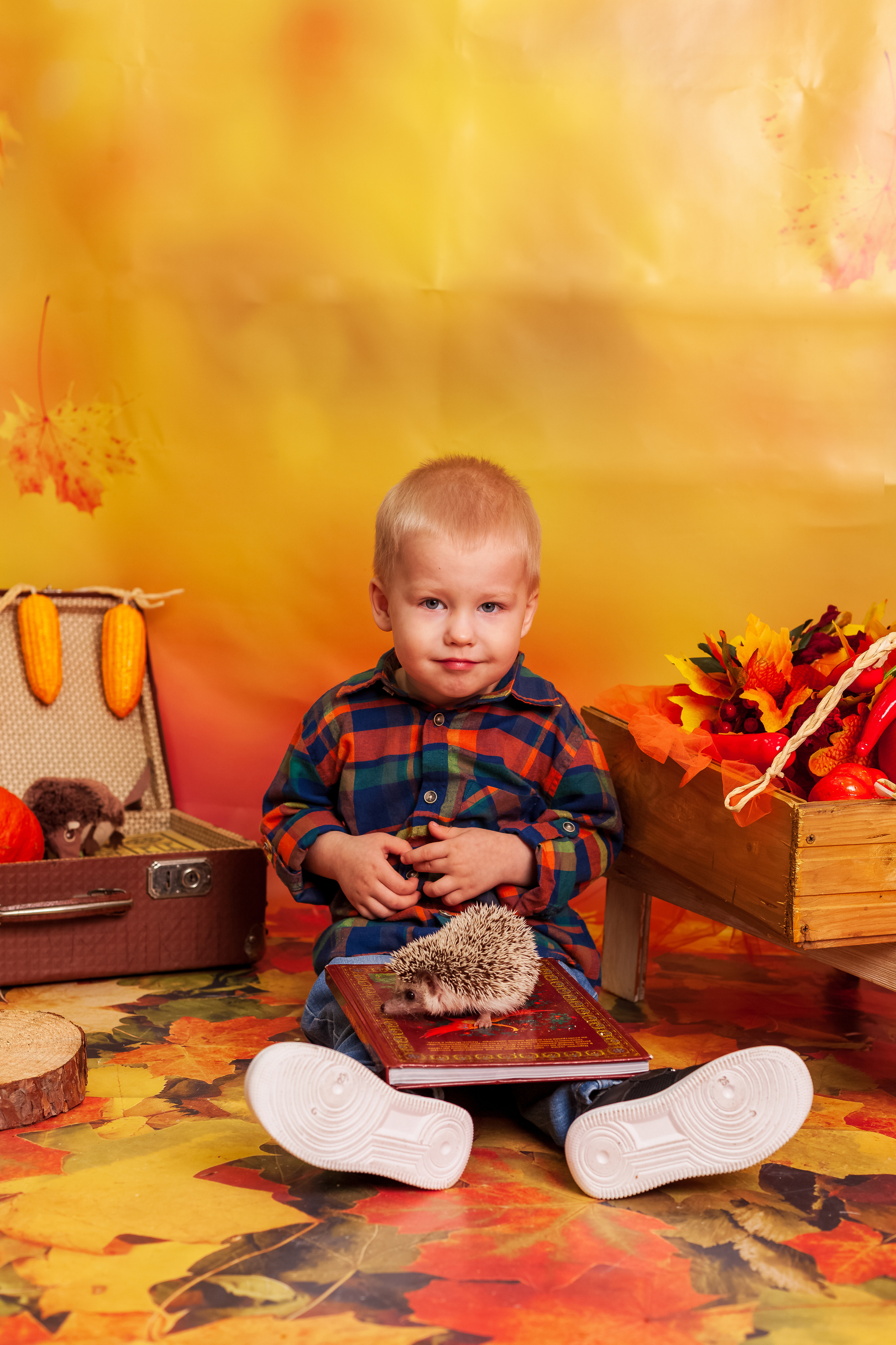 Фотосессия с живым ЁЖИКоМ. Фотограф Татьяна Воронова, Детские и Семейные фото