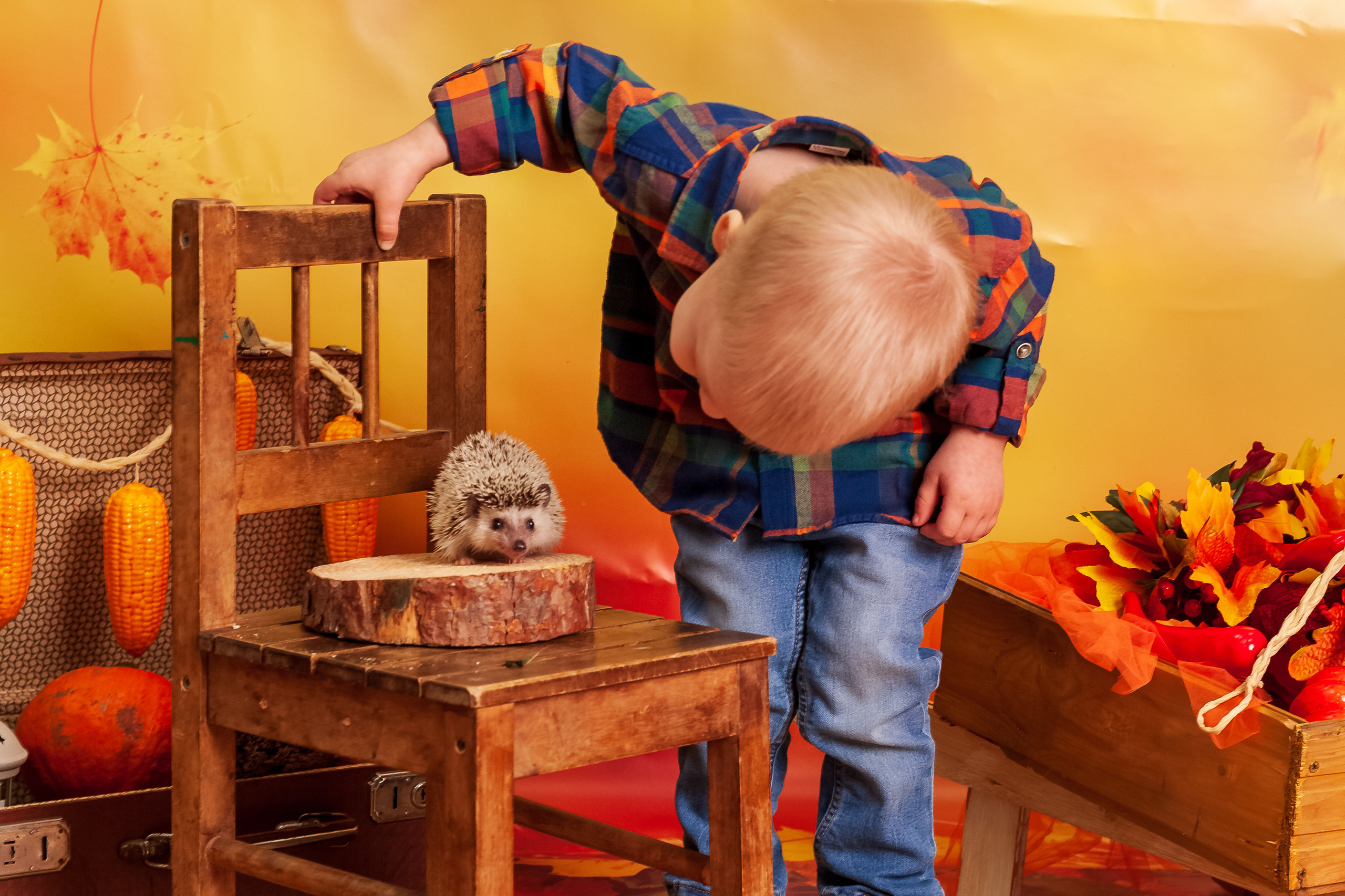 Семейные истории. Фотограф Татьяна Воронова, Детские и Семейные фото