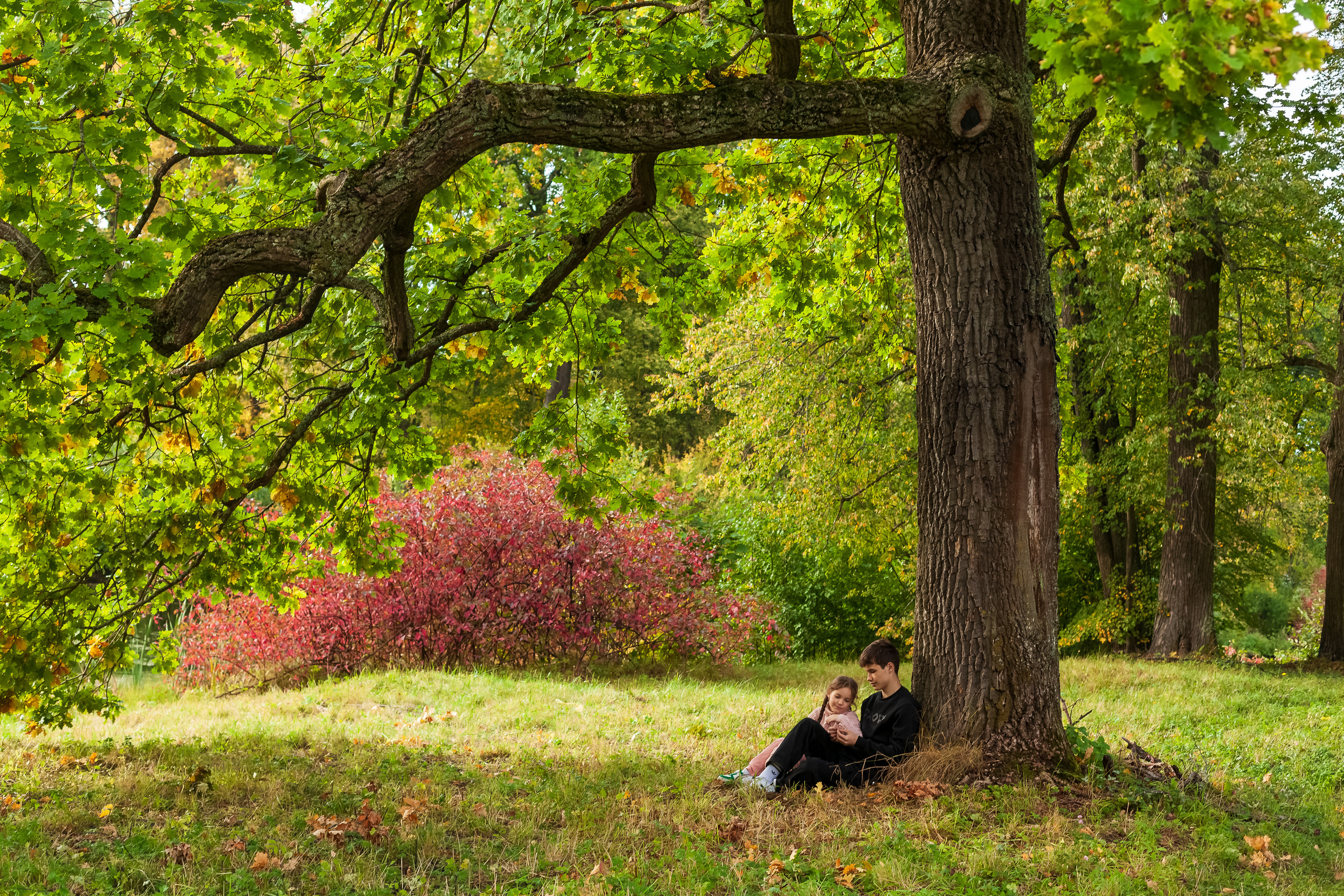 Услуги. Фотограф Татьяна Воронова, Детские и Семейные фото