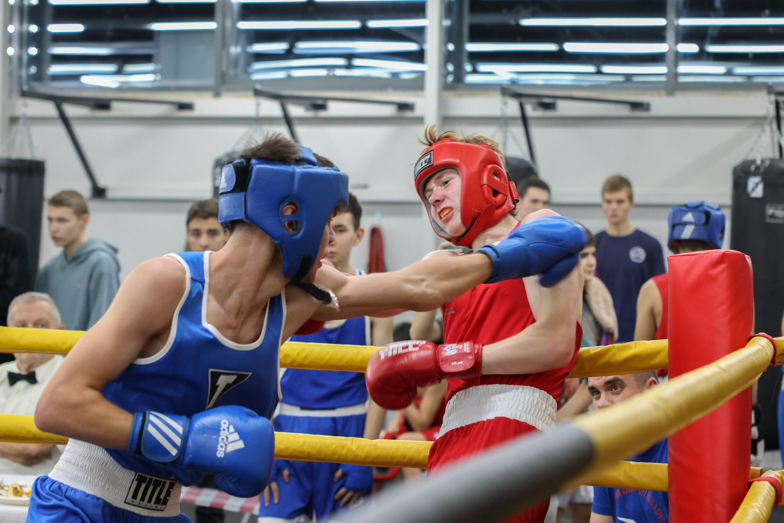 Открытый ринг «кубок ООО «ТЭК НеваСпецТяж». Фотограф Александр Заломаев