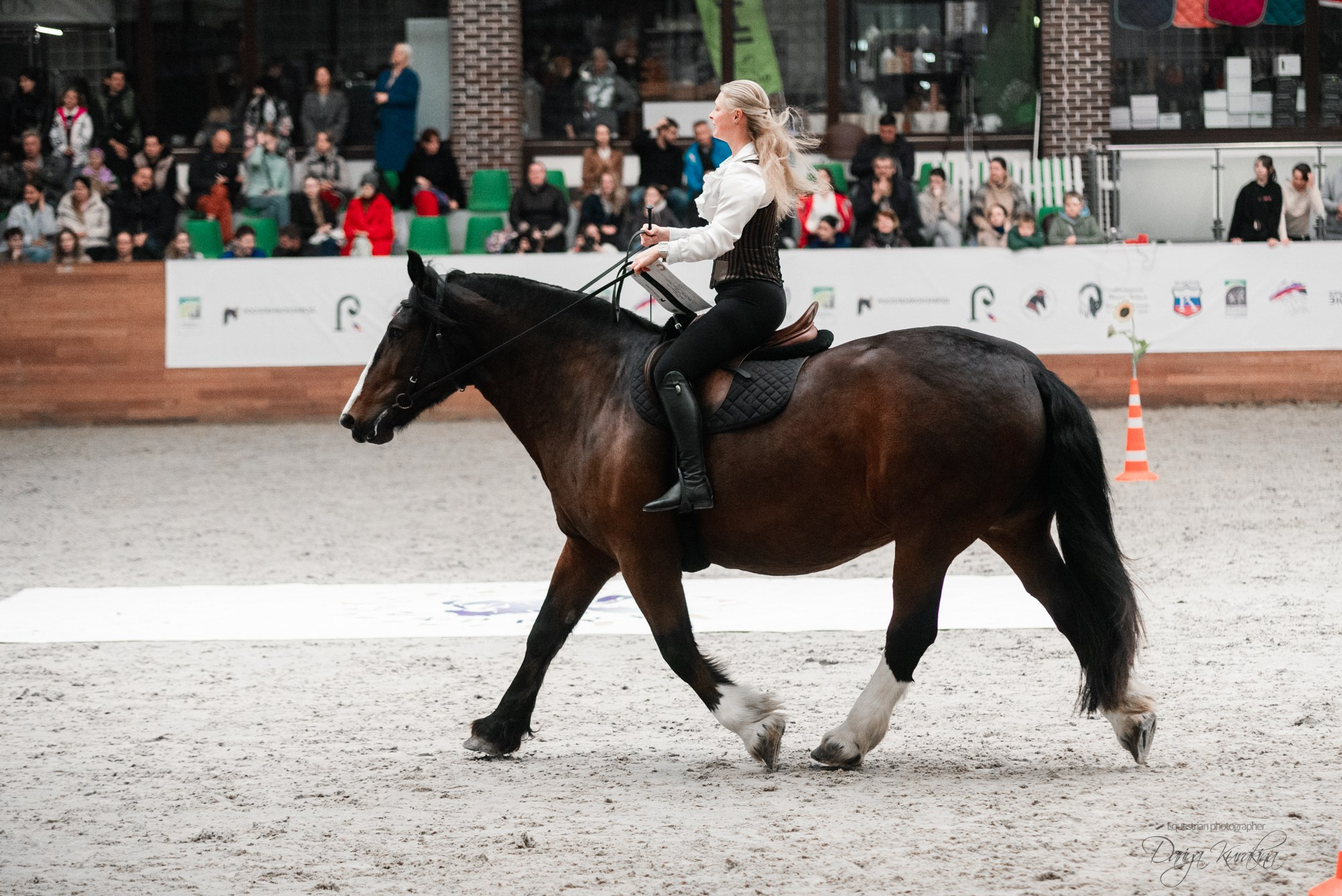 8-я международная выставка Конная Россия. Конный фотограф Куракина Дарья • Фотосессии с лошадьми