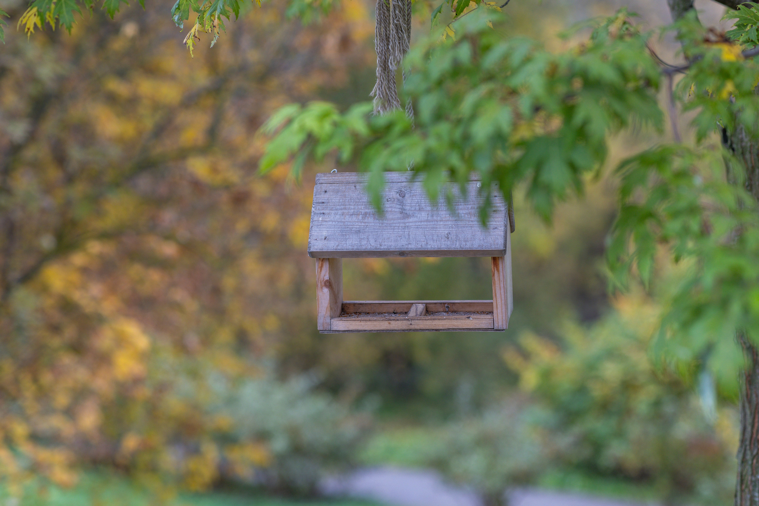 5 вёрст в Митино, 11.10.25. Фотограф Сергей Ловкий