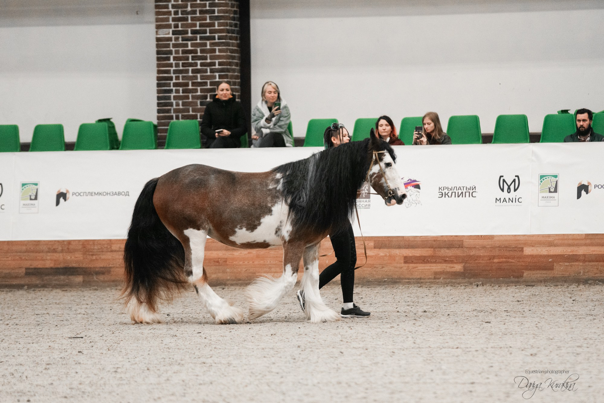 8-я международная выставка Конная Россия. Конный фотограф Куракина Дарья • Фотосессии с лошадьми