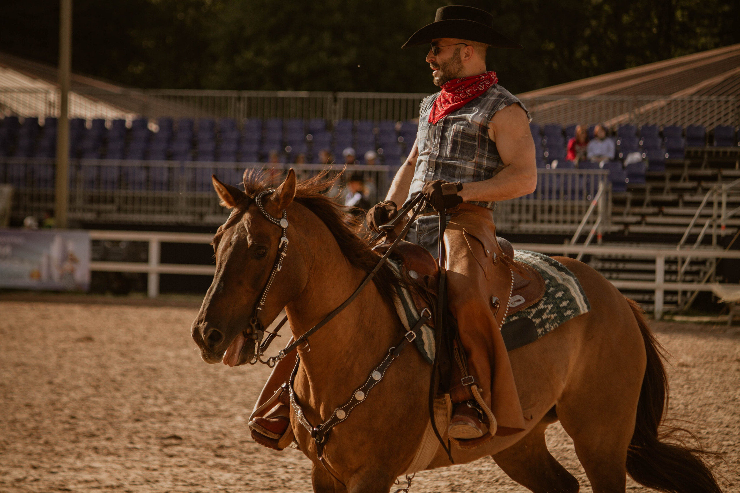 ИППОСФЕРА — Международная конная выставка. Создадим шедевр? Виталина и её фотоискусство