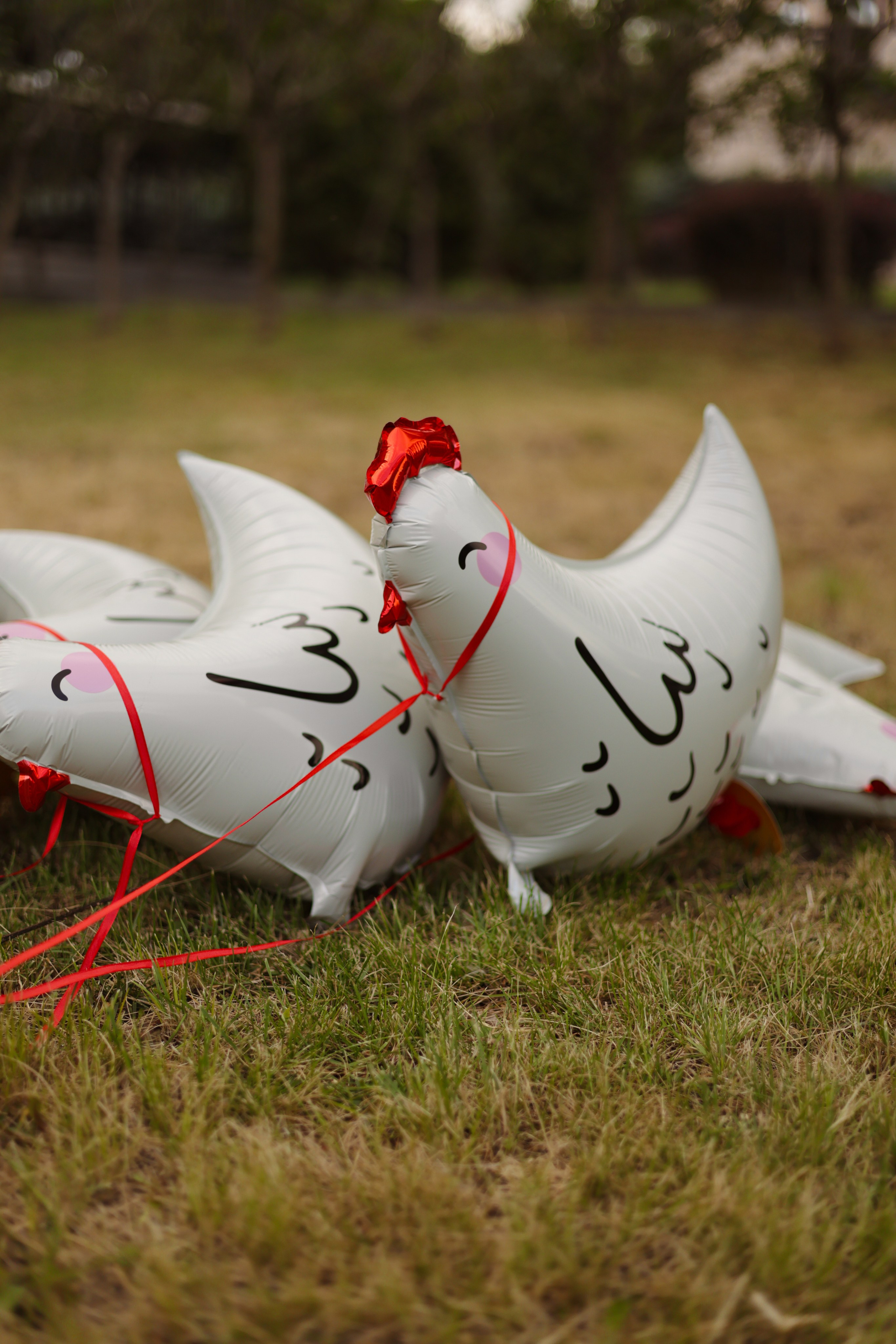 Одним летним днем …🐓. Фотограф Донецк Александра Юрку