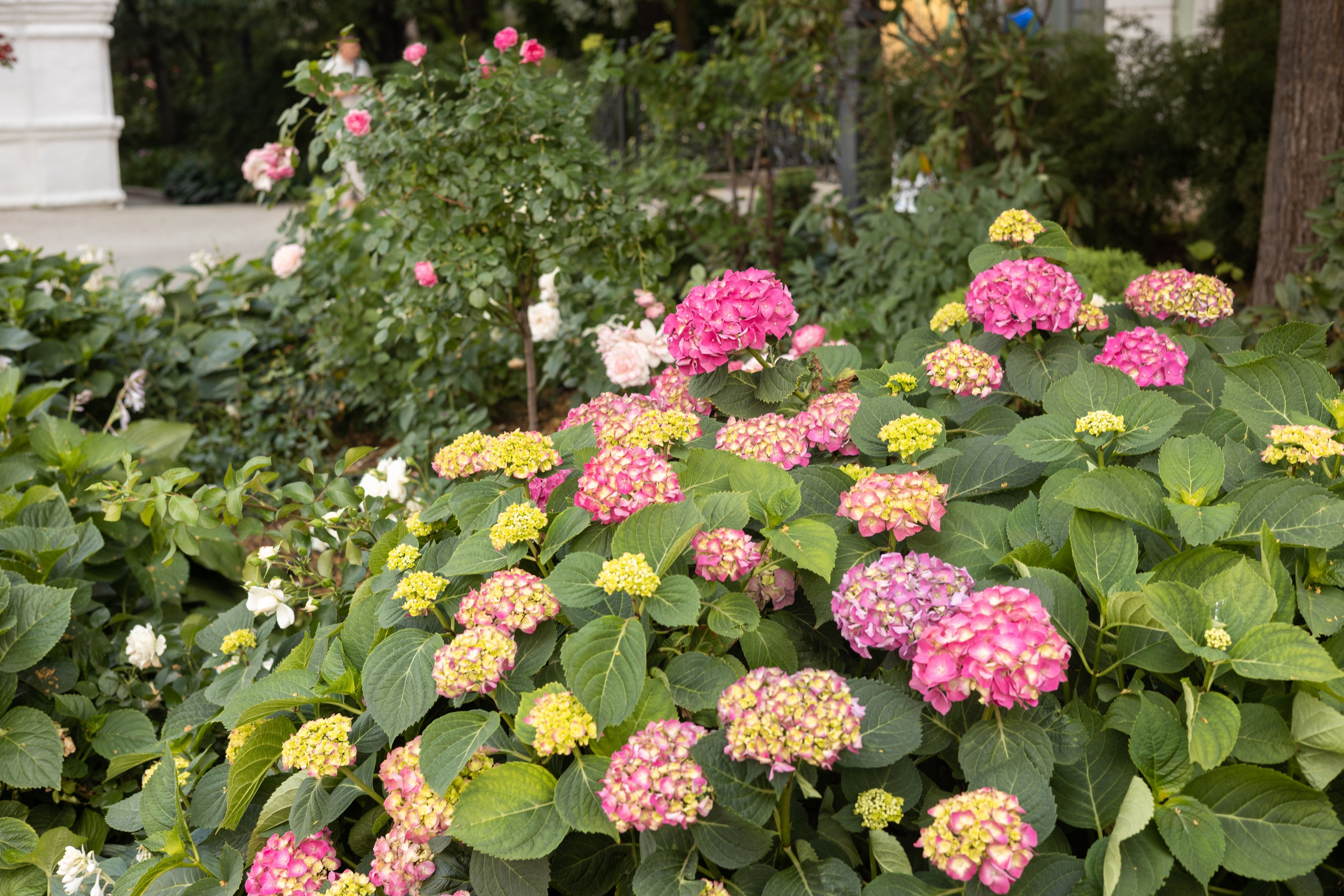 Крестины. Фотограф Анна Асташева, Ивантеевка, Пушкино, Москва