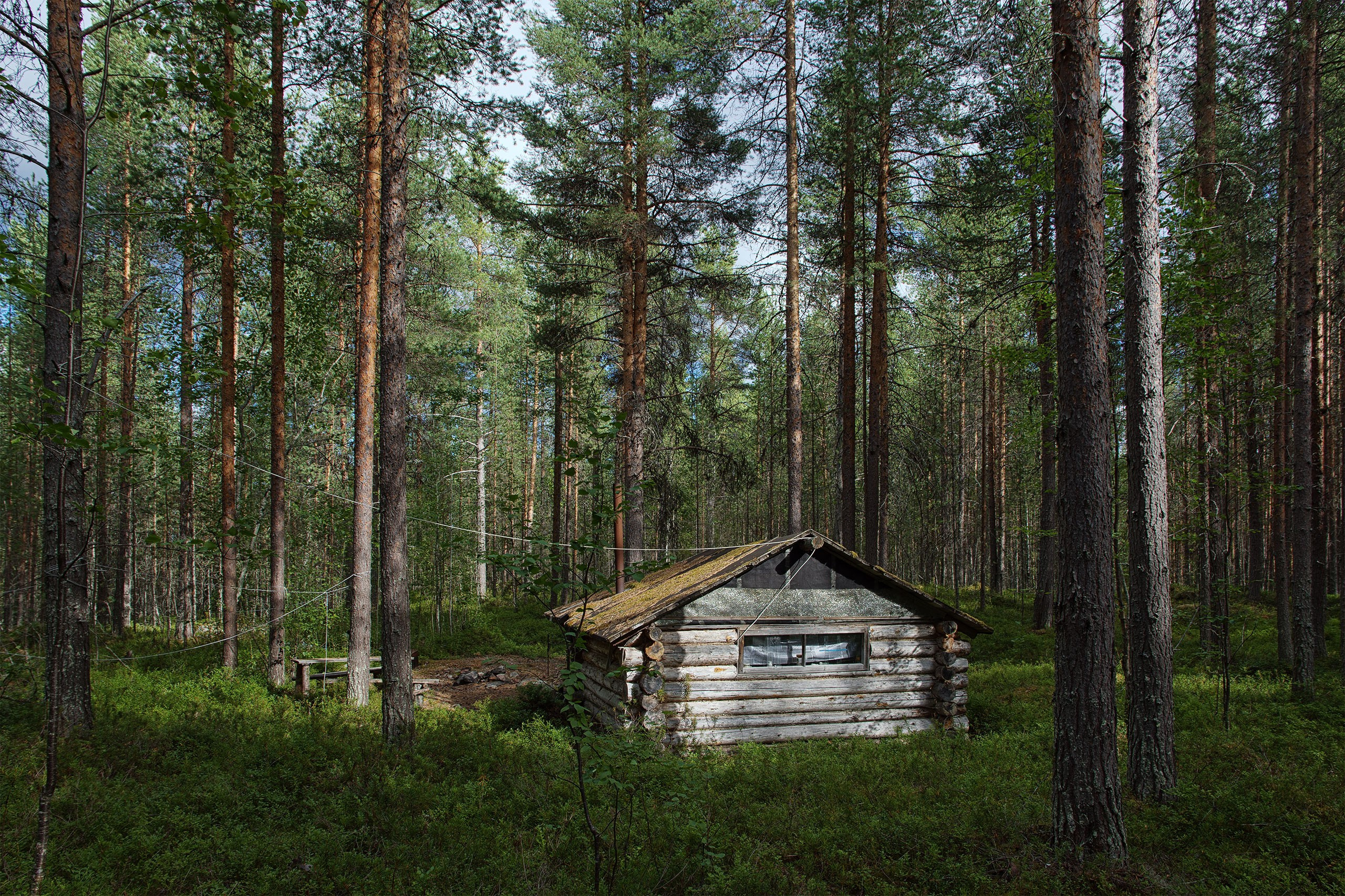 Пейзажи. Сайт фотографа Елены Михайловой. Фотосессии на пленэре в Сестрорецке