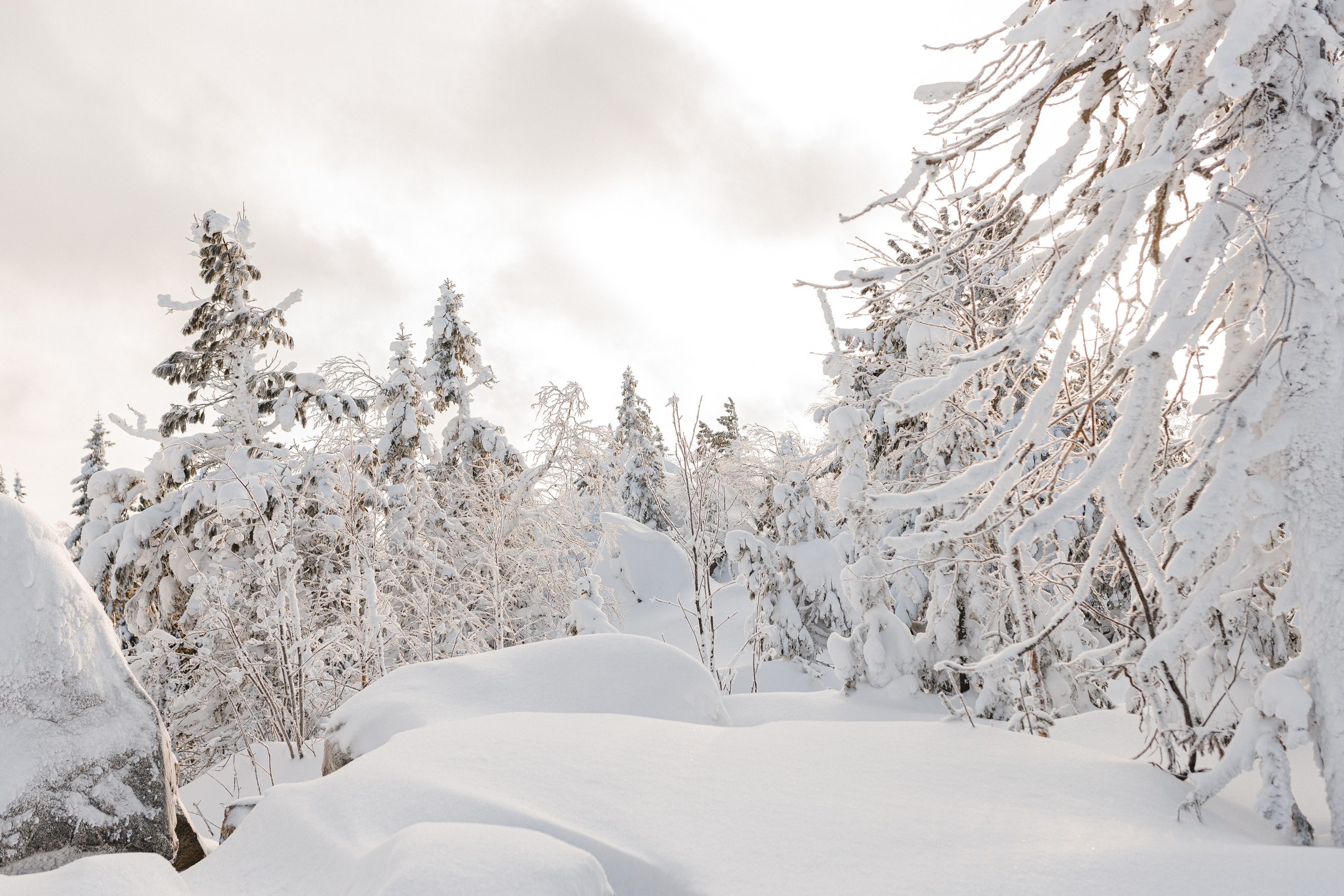 Гора белая. Семейный свадебный фотограф Семен Егоров