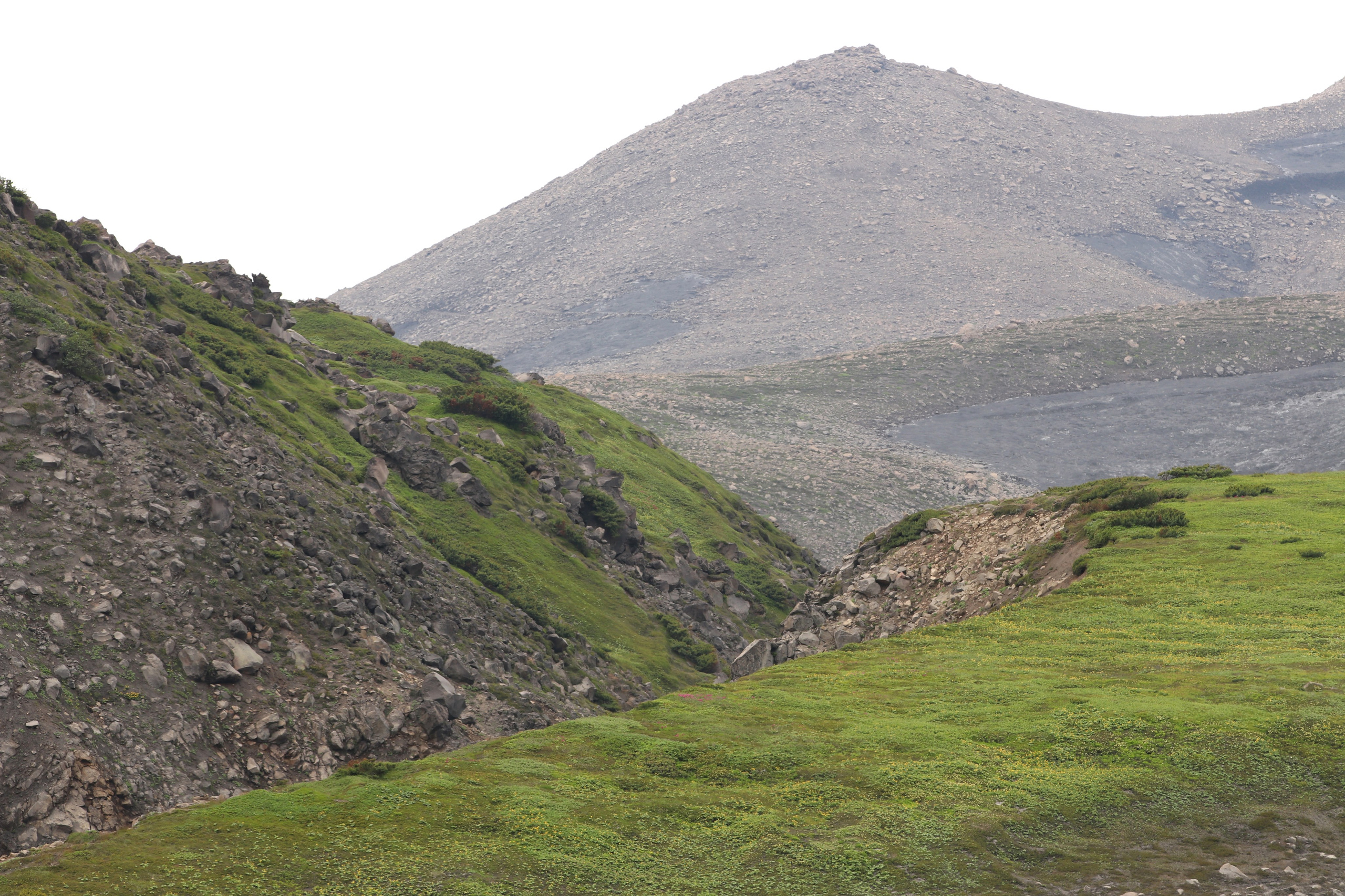 Камчатка и о. Парамушир. Июль 2024. Путешественник-фотограф из Санкт-Петербурга Татьяна Свистулина