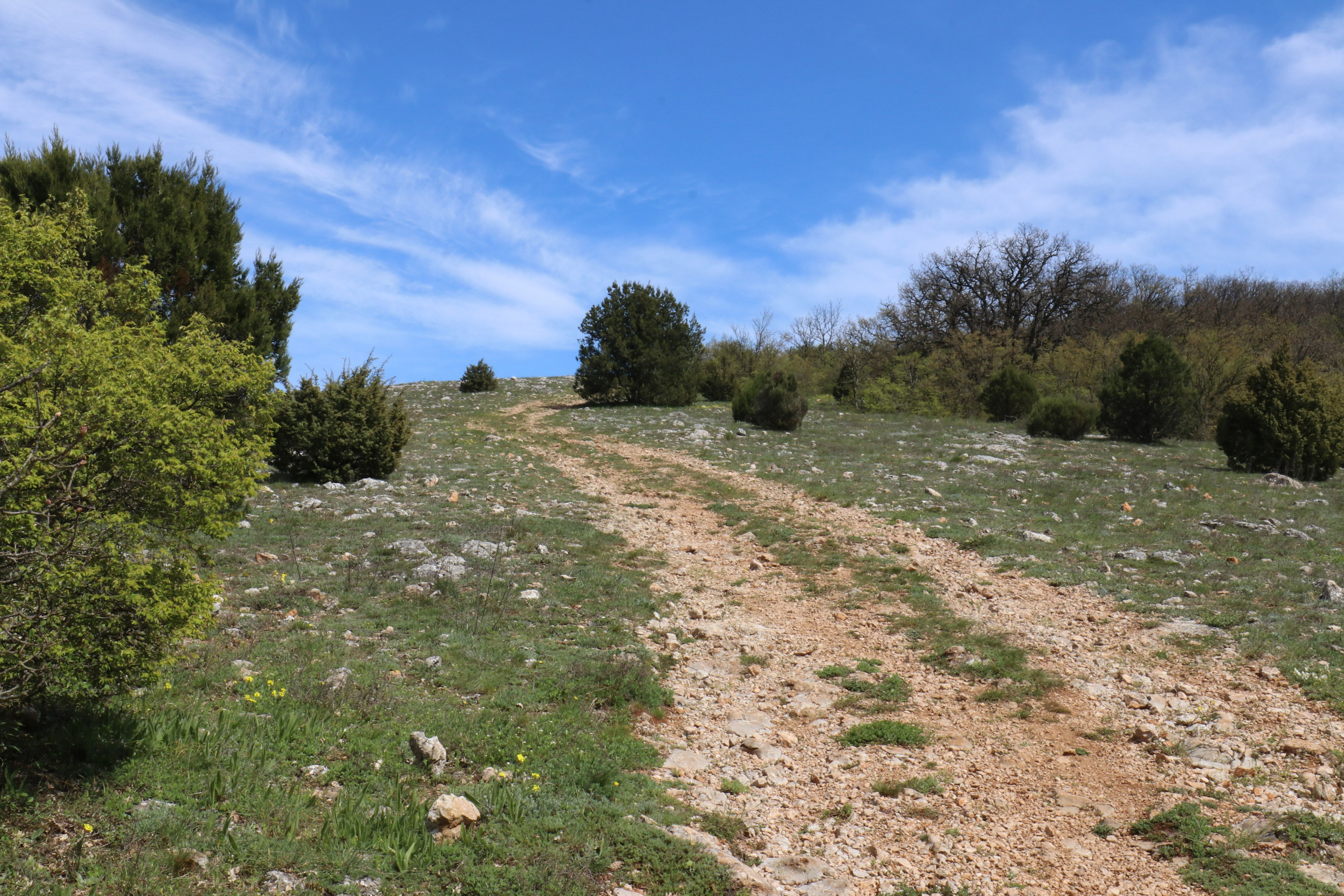 Крым. ЮБК (Севастополь, Кастрополь, Ялта). Май 2023. Путешественник-фотограф из Санкт-Петербурга Татьяна Свистулина