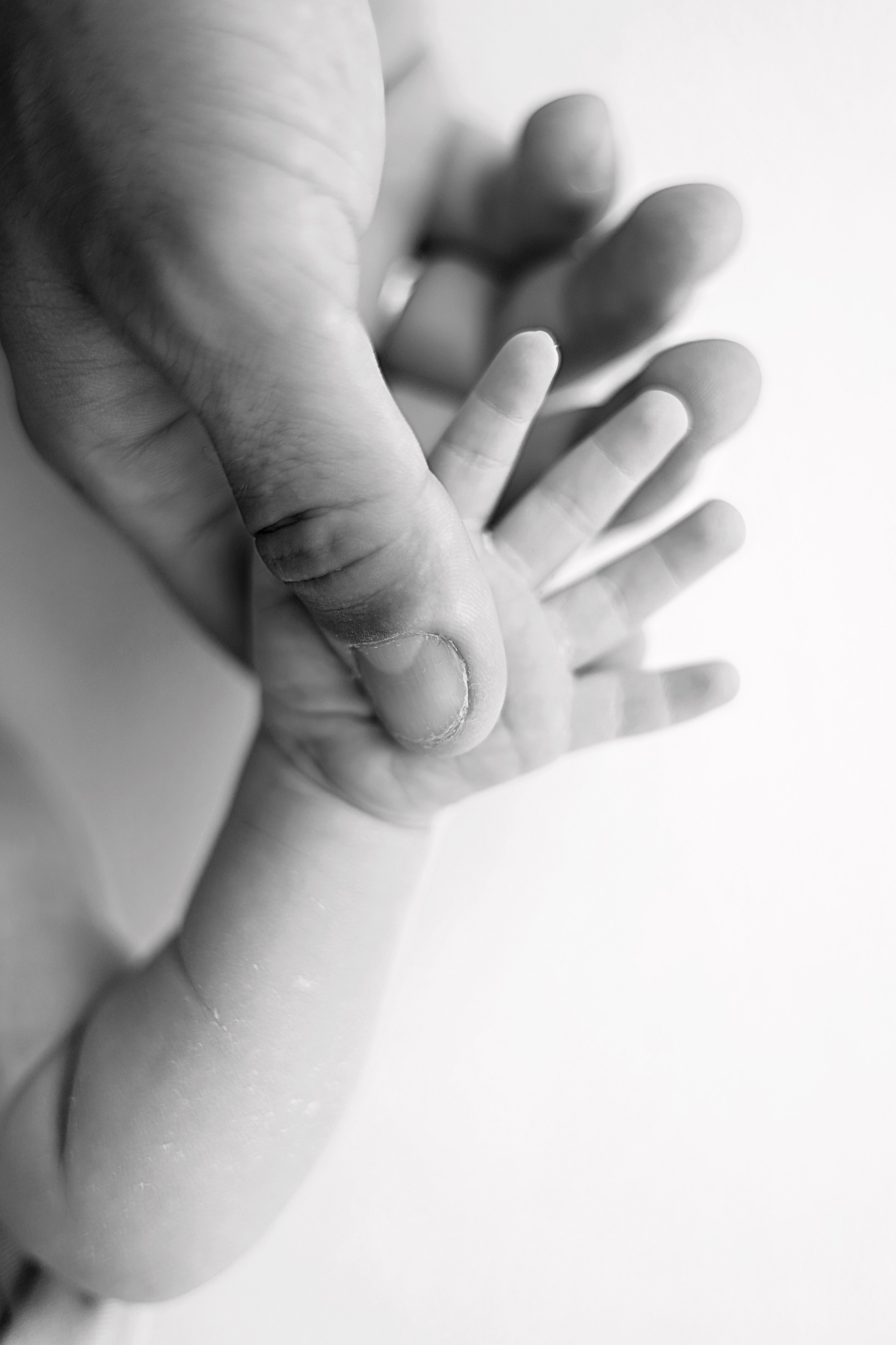 Лёвушка, оптимальный пакет + натуральный стиль. Фотограф новорожденных Москва. Ньюборн фотограф Москва